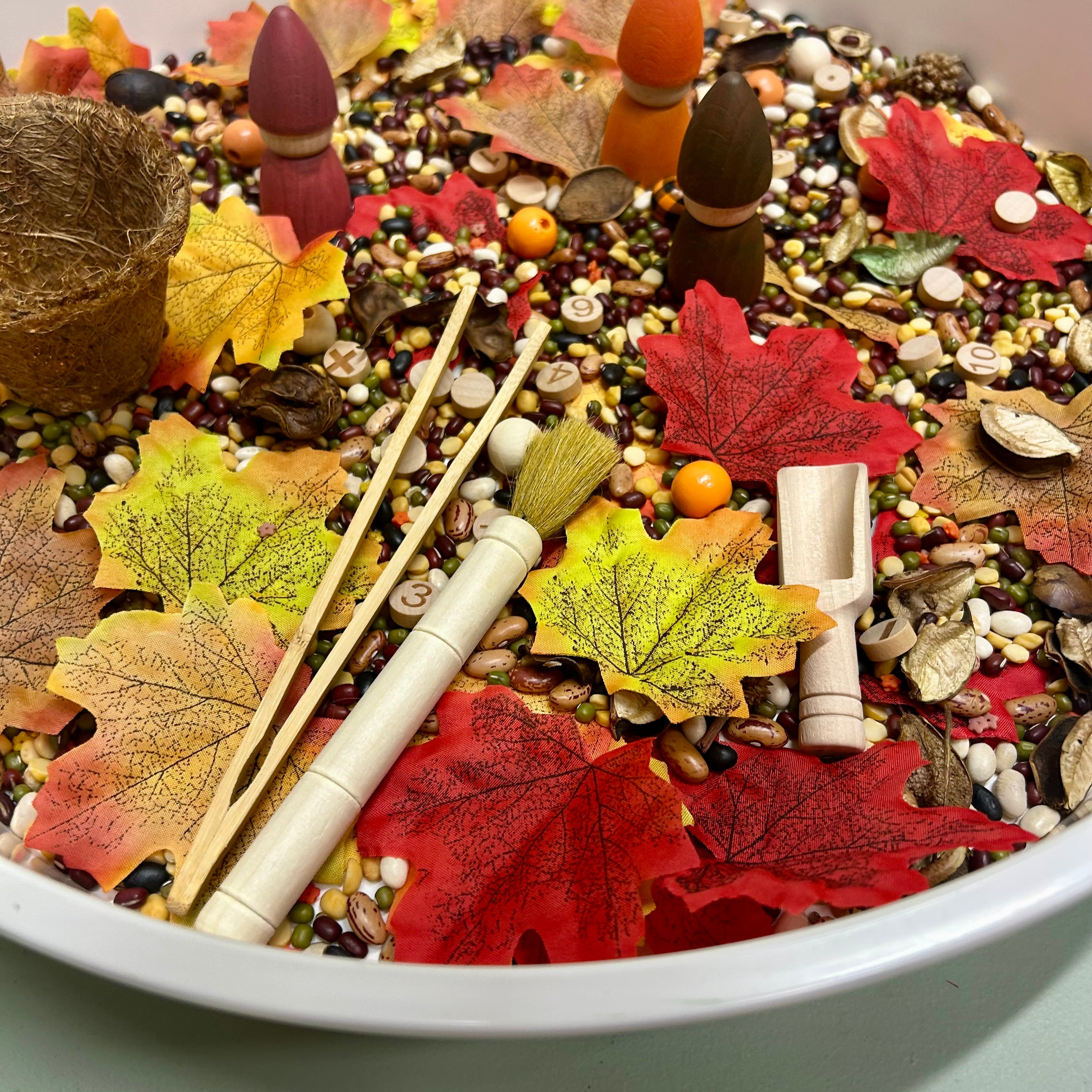 Pour and Play Sensory Set — OT-designed themed sensory play for children 3 years and older. Autumn forest