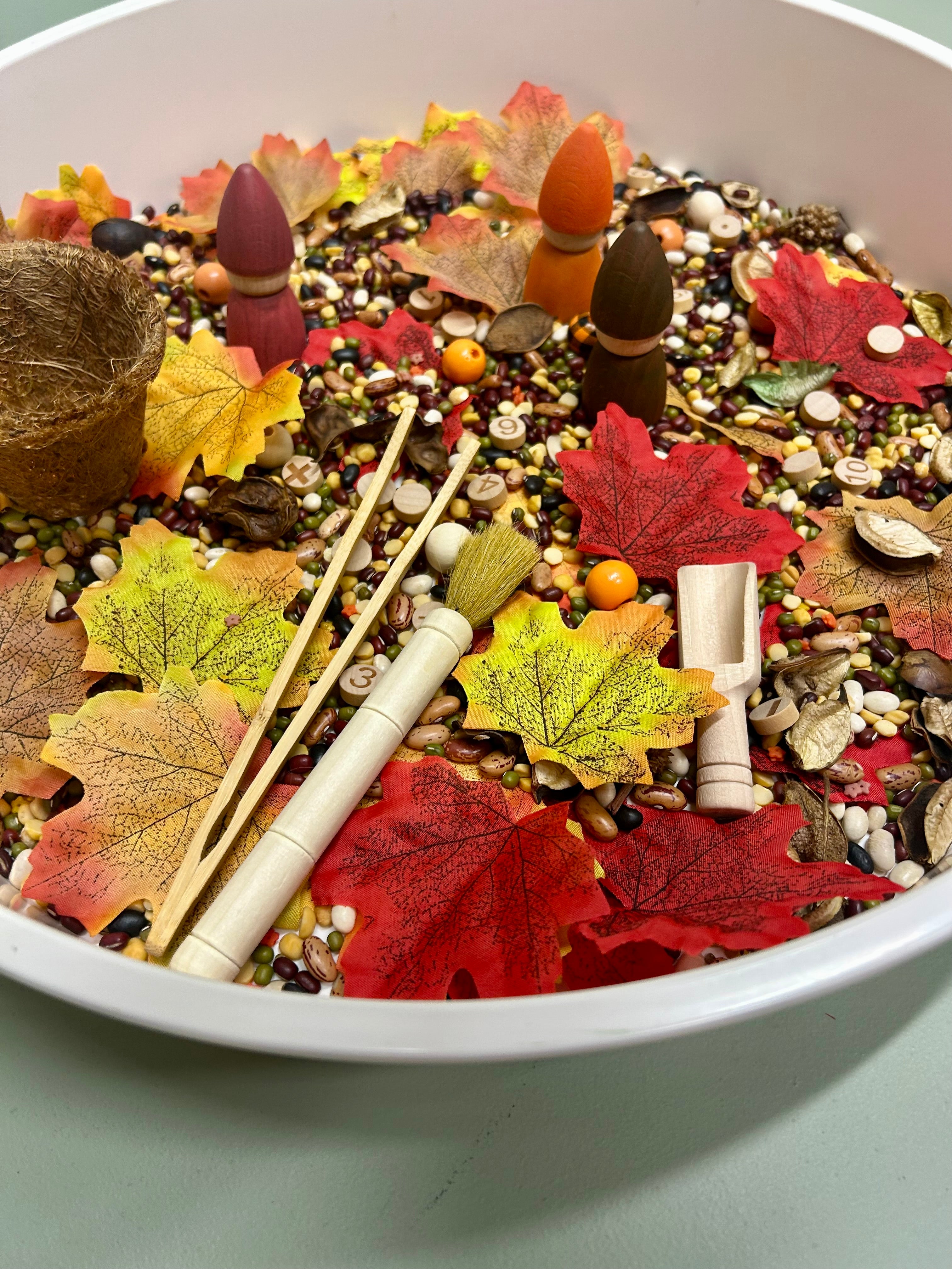 Pour and Play Sensory Set — OT-designed themed sensory play for children 3 years and older. Autumn forest