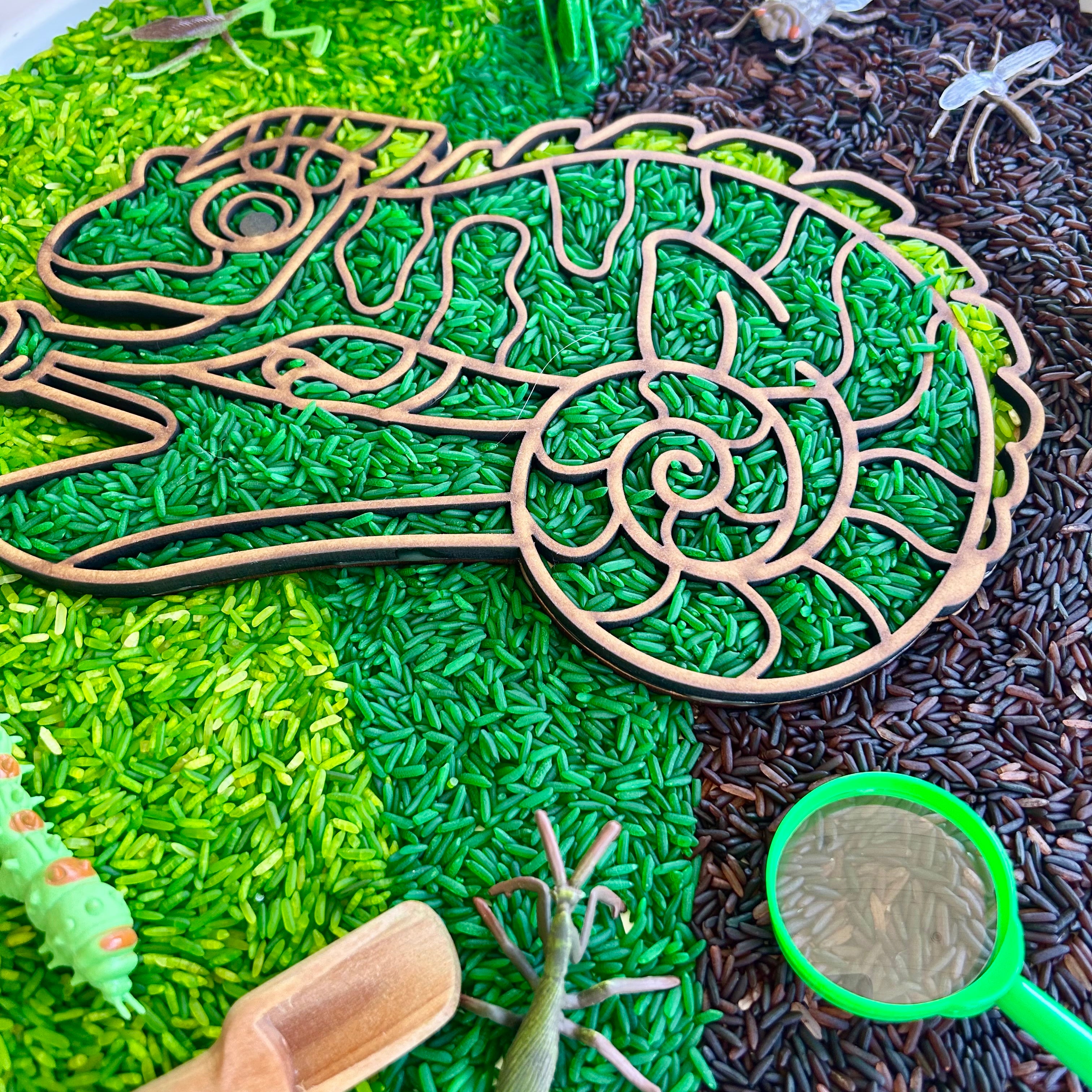 Camouflage sensory set with coloured rice, wooden chameleon tray, insects and magnifying glass for sensory exploration
