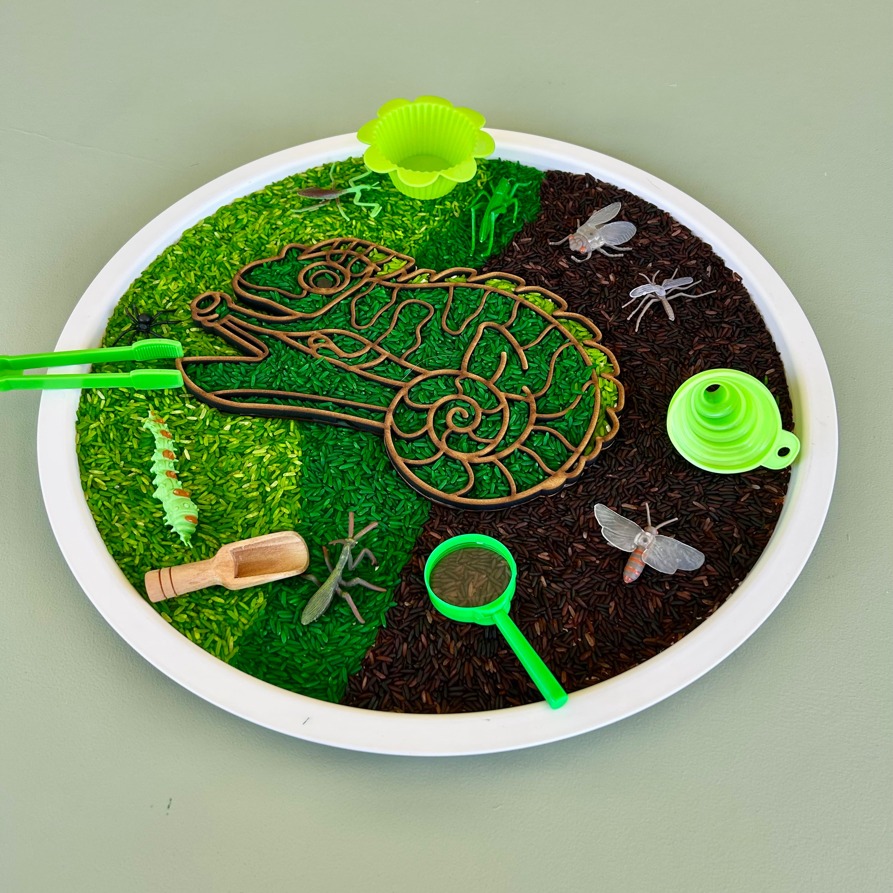 Pour and Play Sensory Set — OT-designed themed sensory play for children 3 years and older. Chameleon Set
