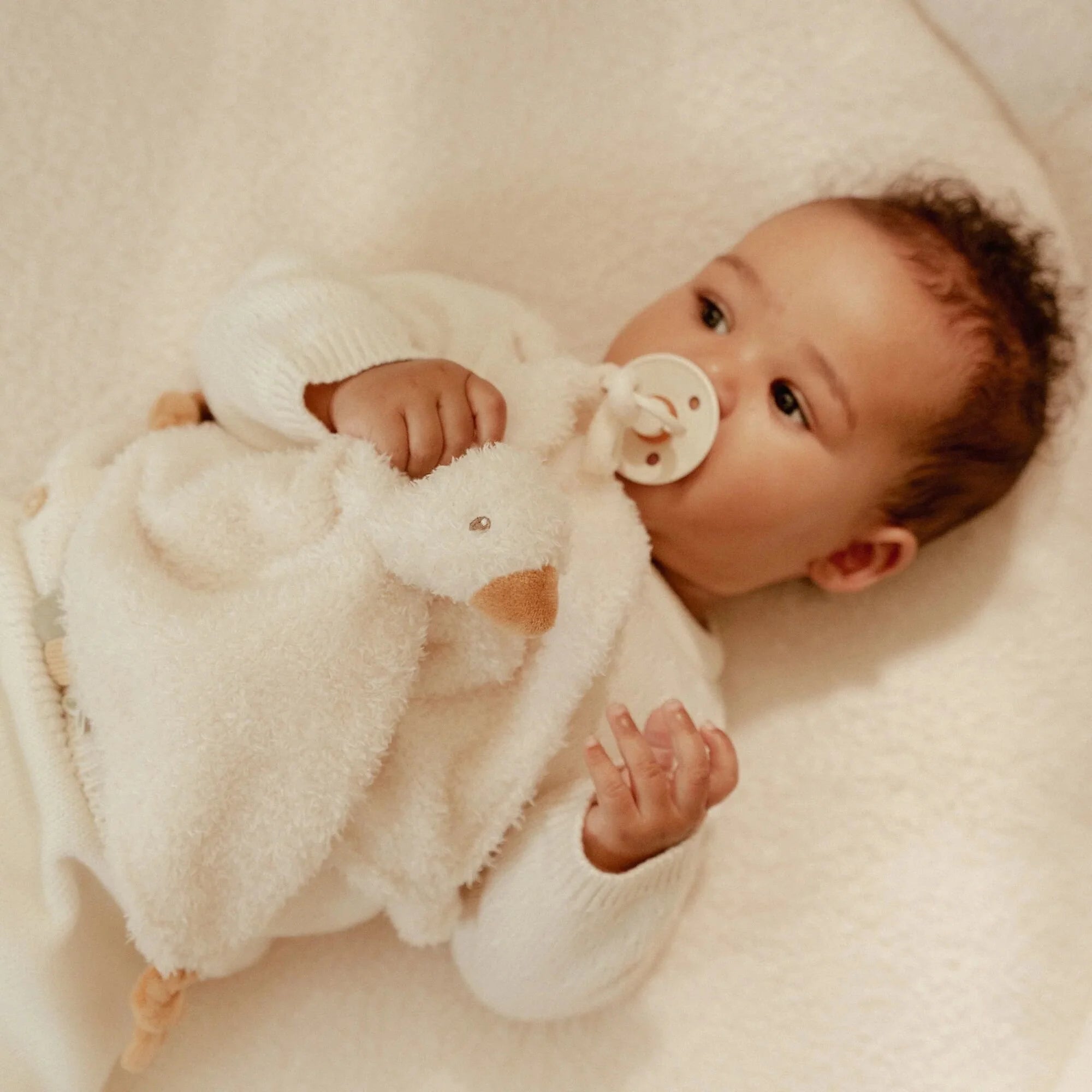 Soft comfort cloth with goose head and blanket body