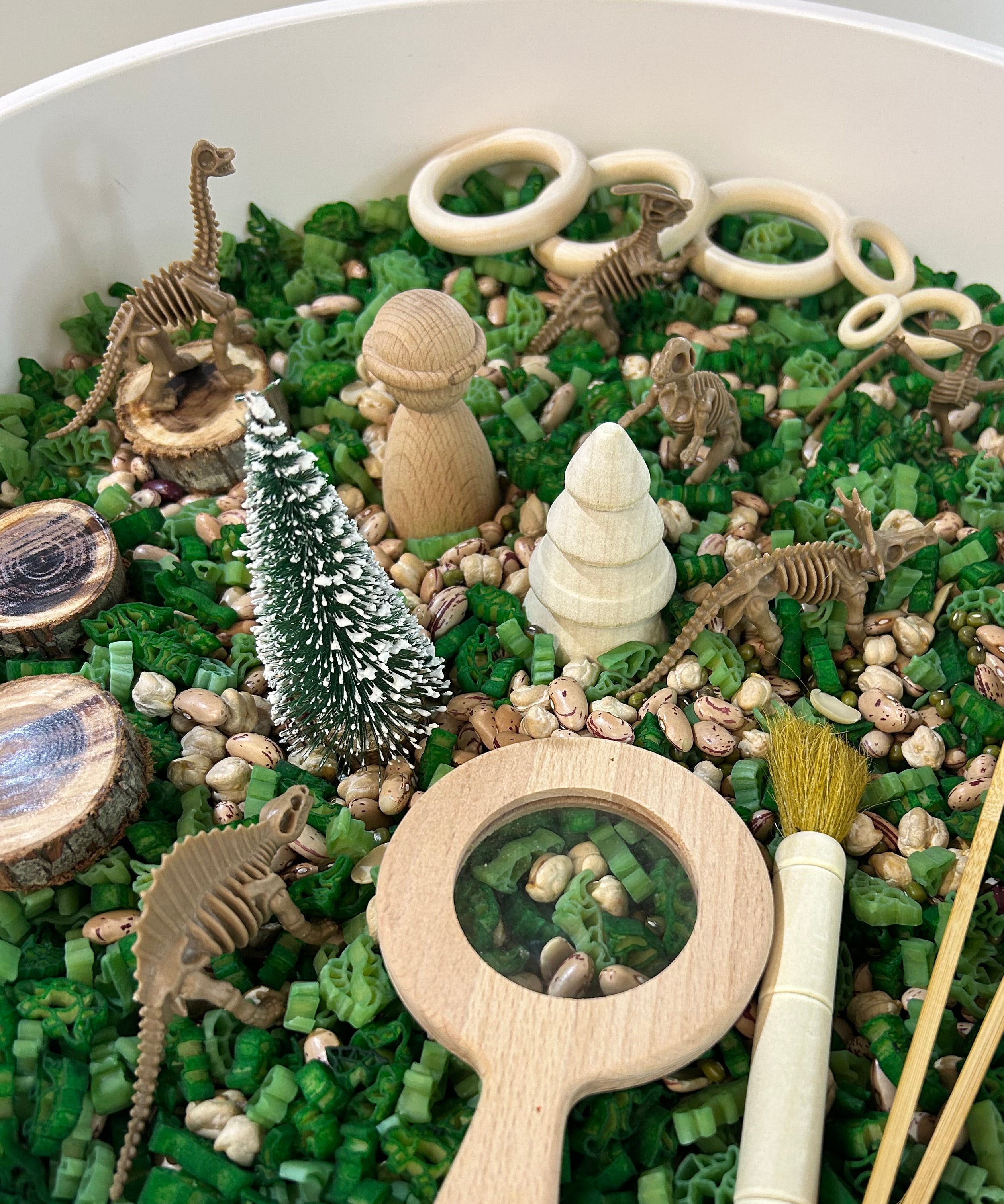 Pour and Play Sensory Set — OT-designed themed sensory play for children 3 years and older. Dinosaurs in the forest set