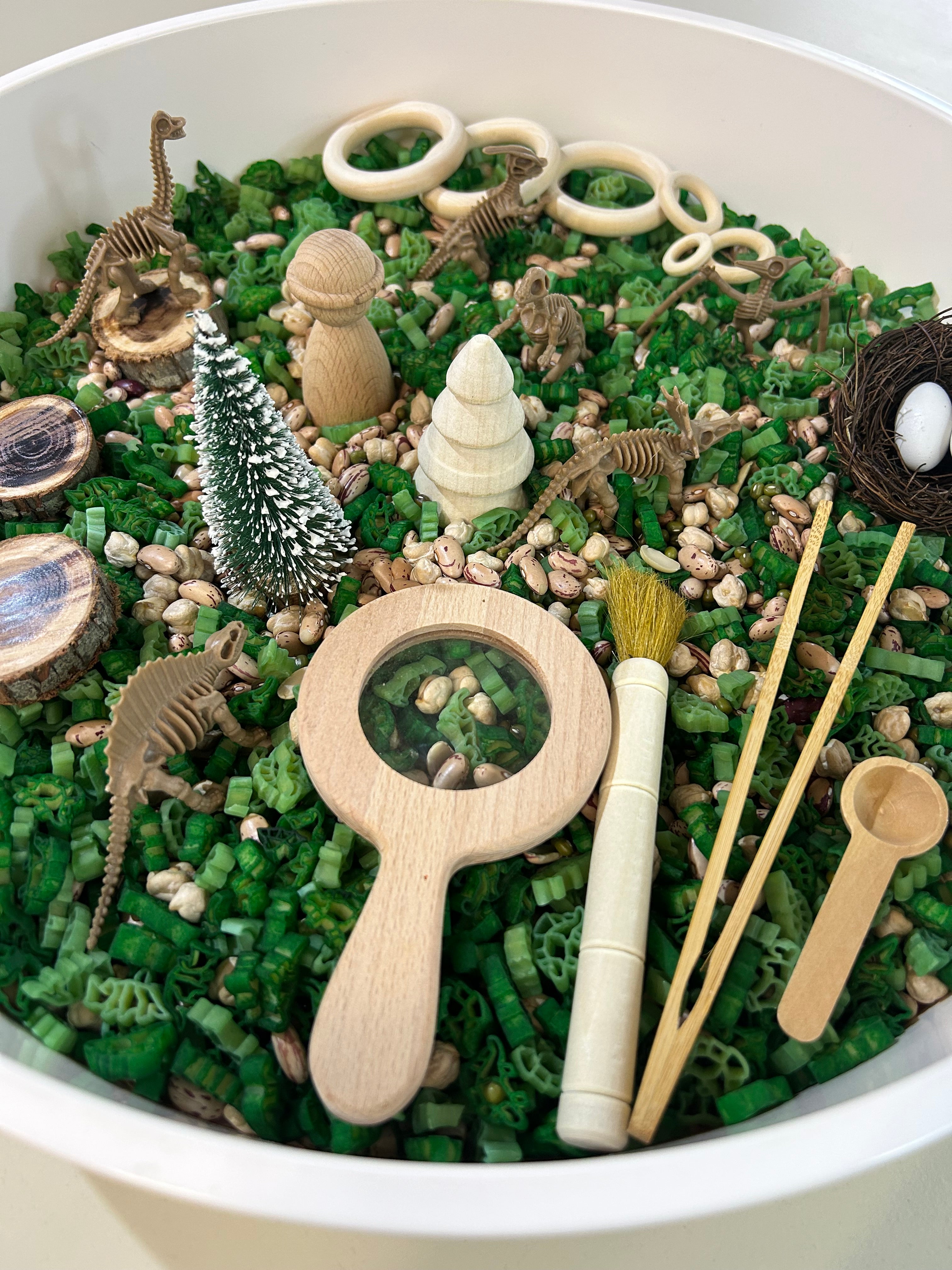 Pour and Play Sensory Set — OT-designed themed sensory play for children 3 years and older. Dinosaurs in the forest set
