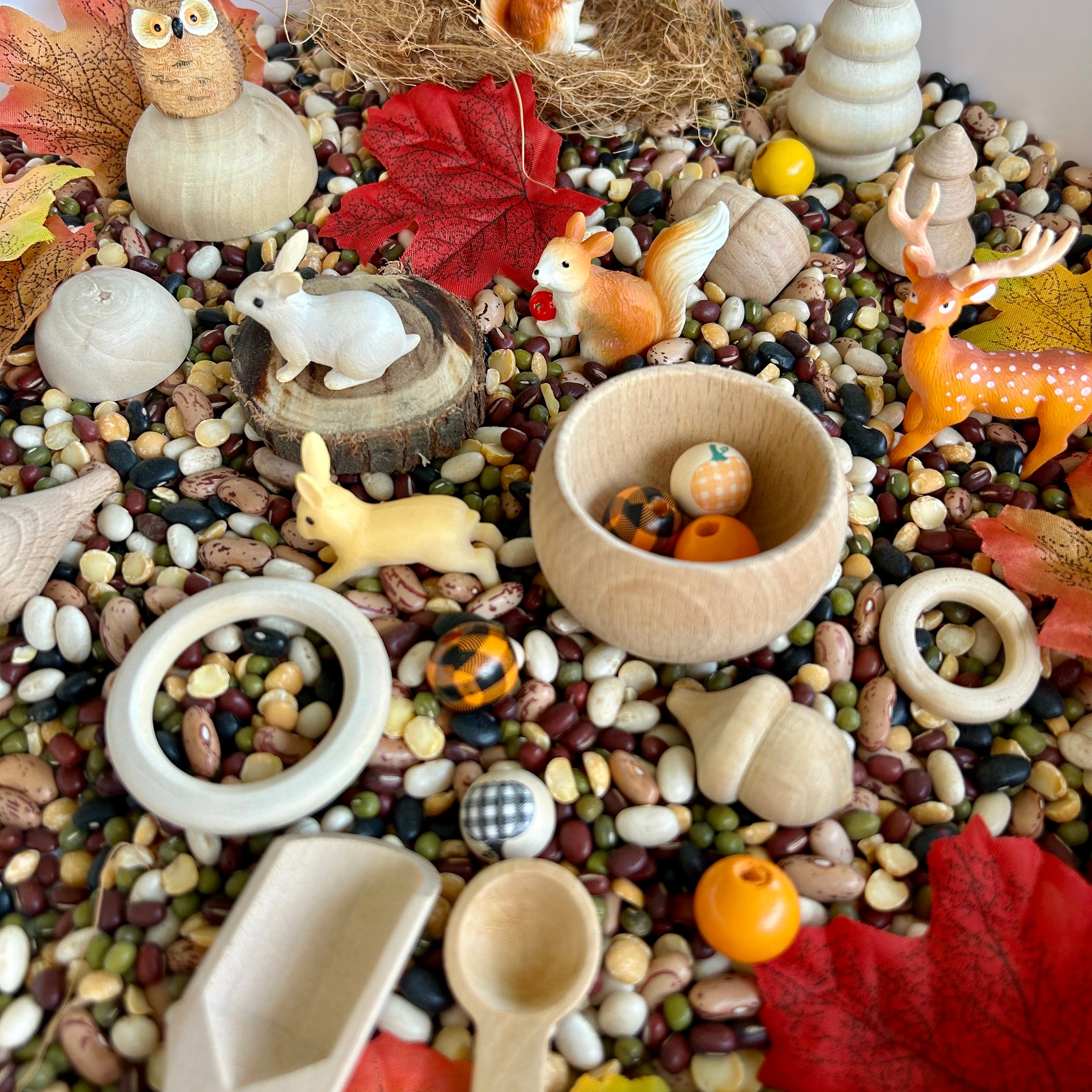 Pour and Play Sensory Set — OT-designed themed sensory play for children 3 years and older. Forest Set