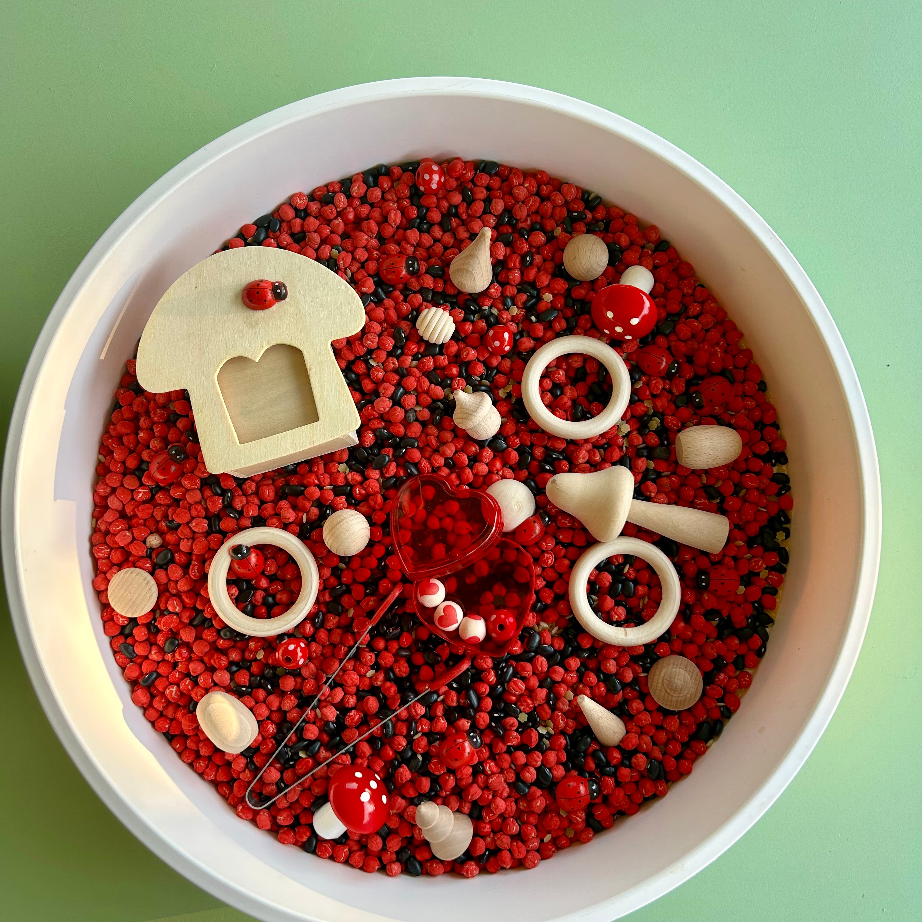 Pour and Play Sensory Set — OT-designed themed sensory play for children 3 years and older. Lovebugs