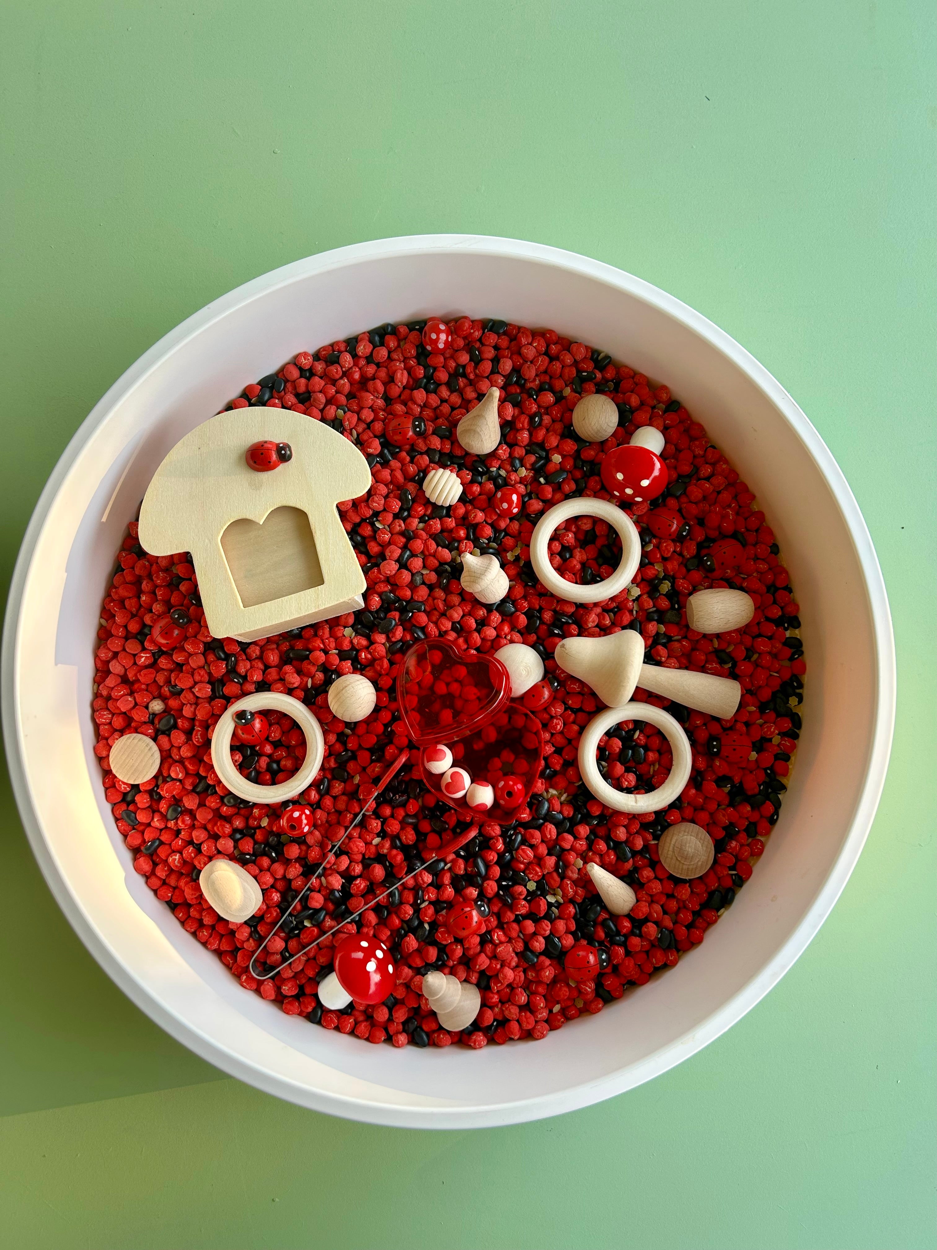 Pour and Play Sensory Set — OT-designed themed sensory play for children 3 years and older. Lovebugs
