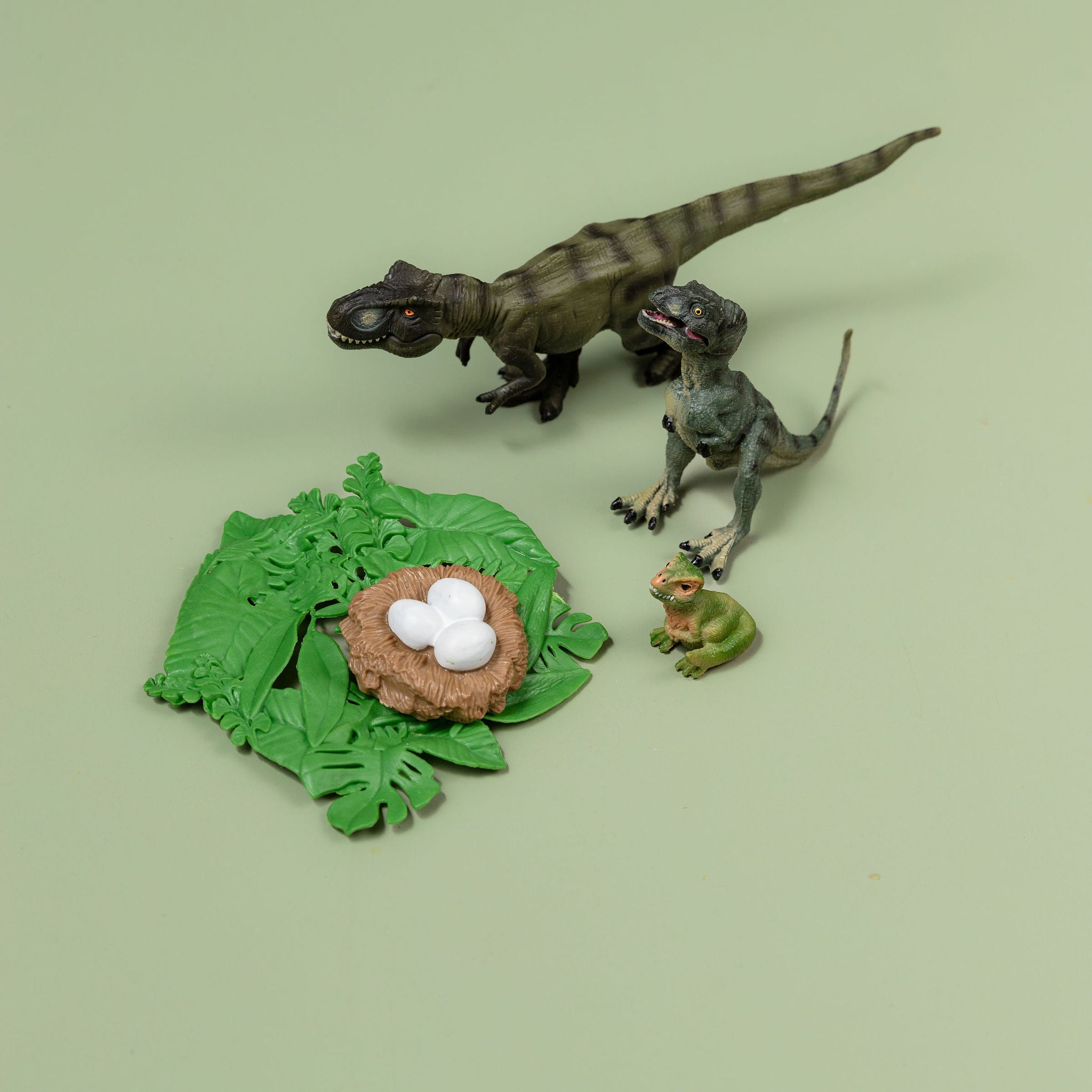 Educational life cycle of the Tyrannosaurus showing stages of growth