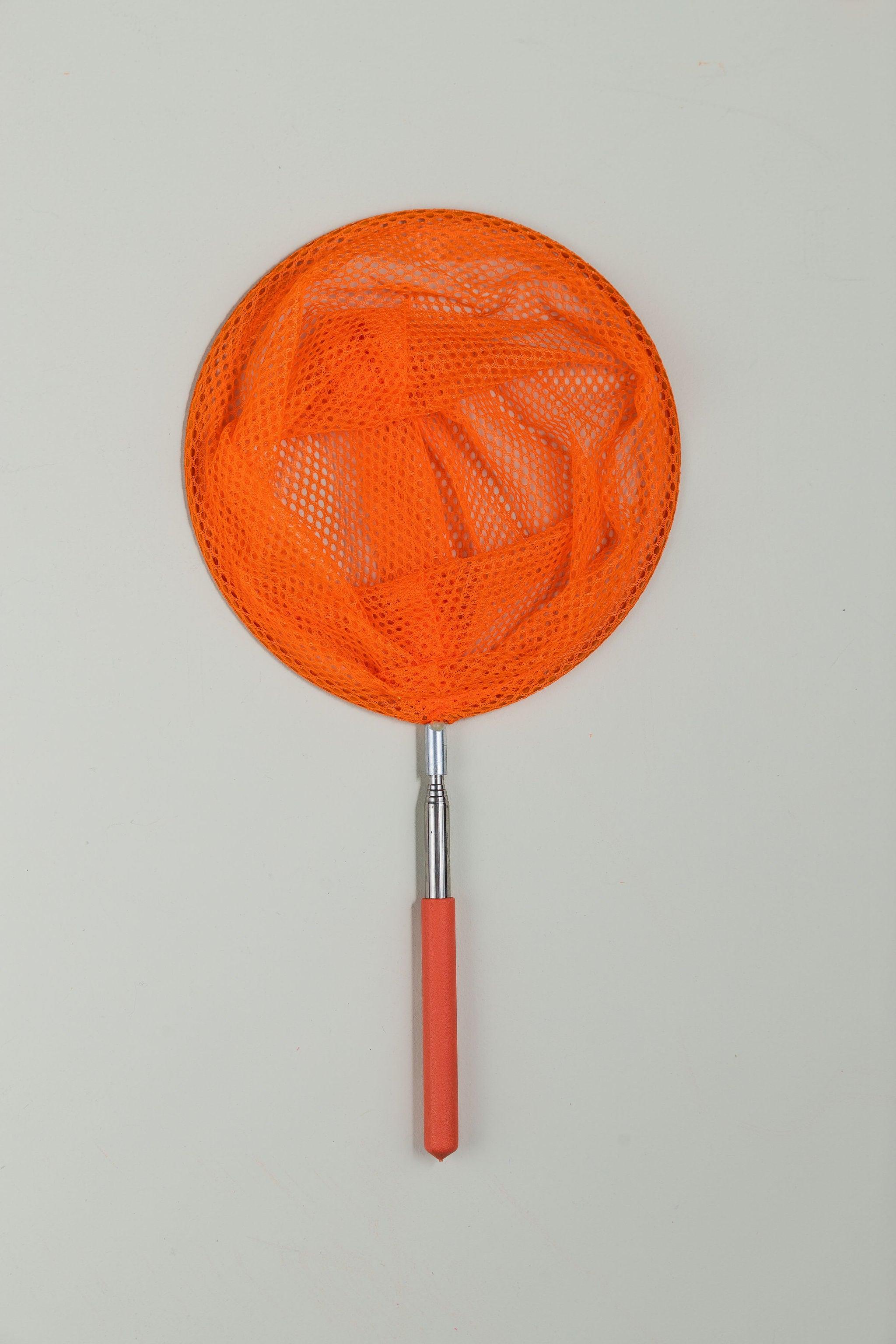 Telescopic Catching Net - Various Colours - tiny tree toys