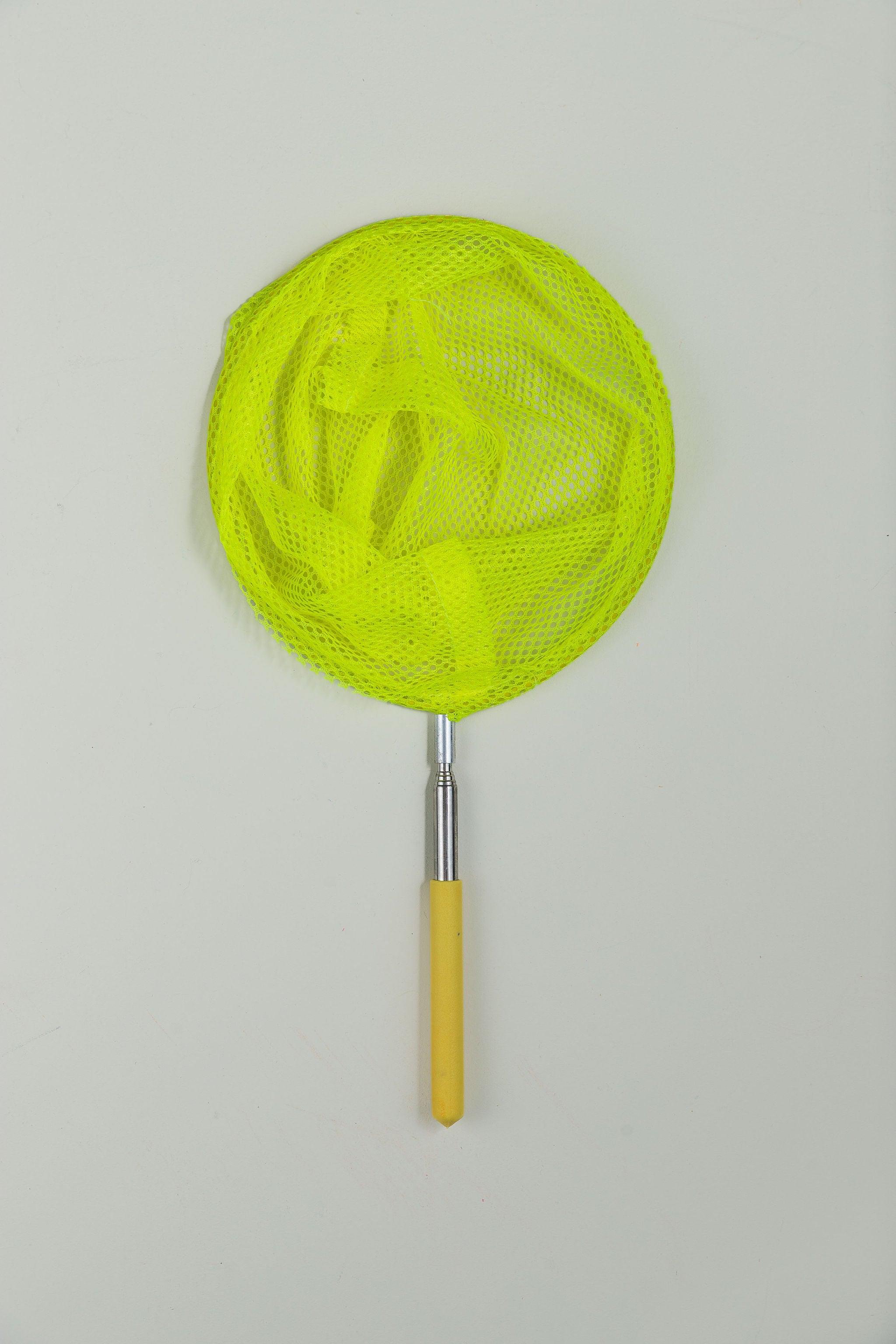 Telescopic Catching Net - Various Colours - tiny tree toys
