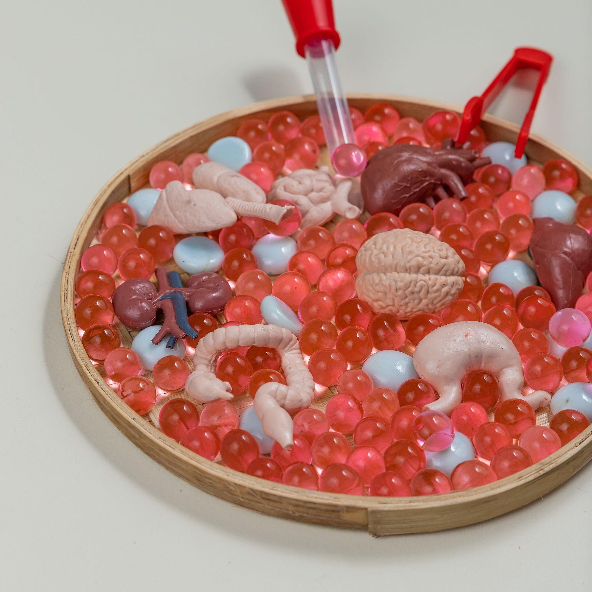 Sensory Sets - tiny tree toys