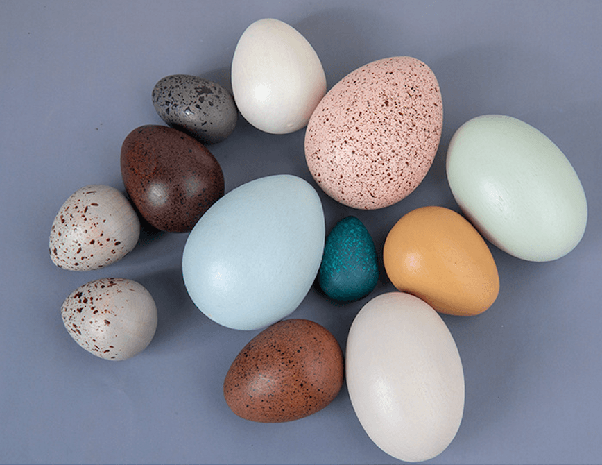 Natural Wooden Eggs Set - tiny tree toys