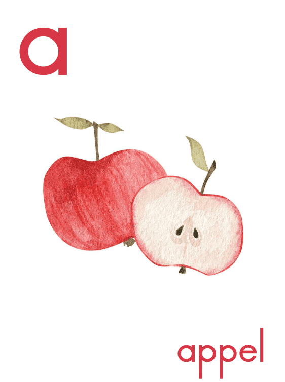 Alfabet Kaarte - tiny tree toys - tiny tree toys