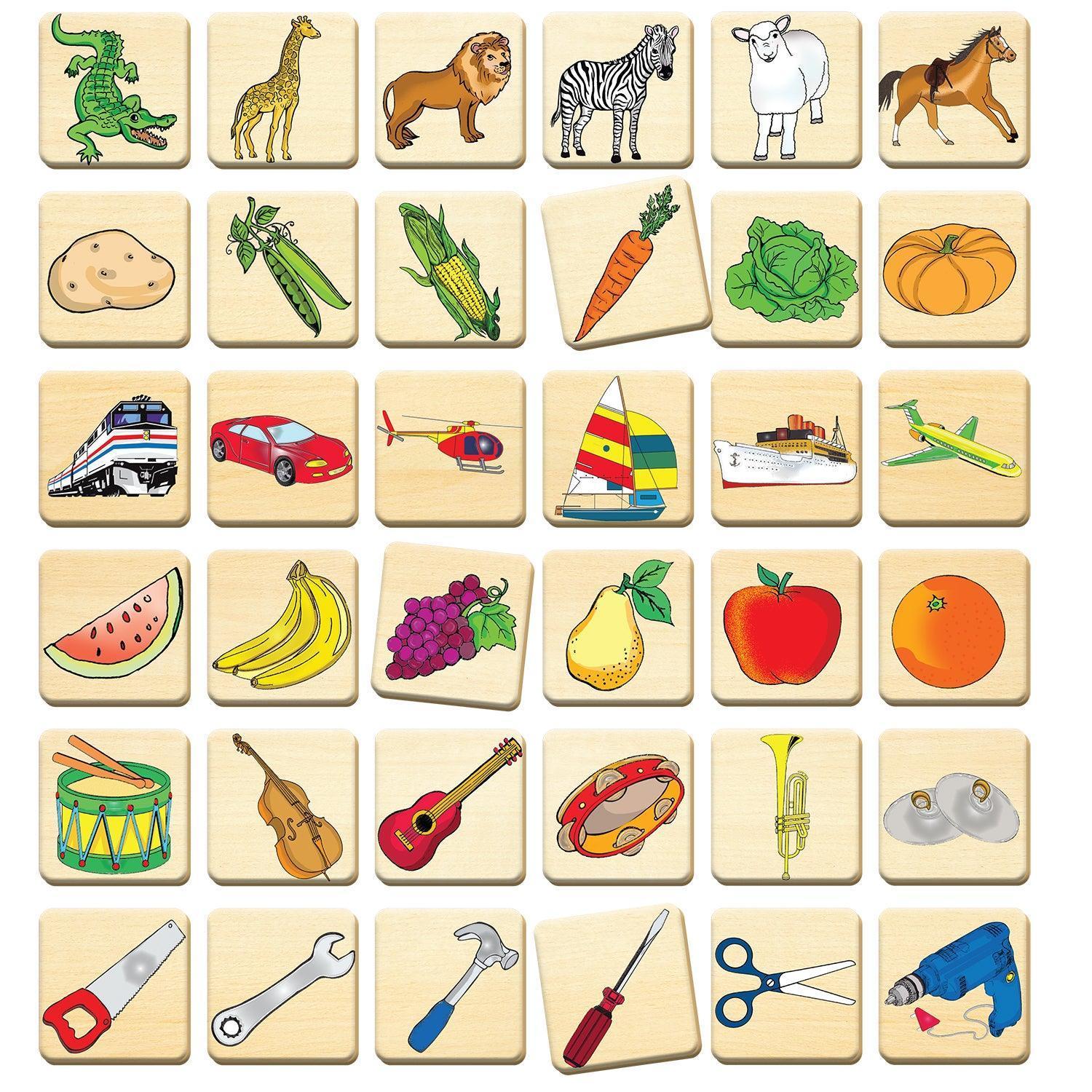 Classifications - tiny tree toys - Smart Thinking