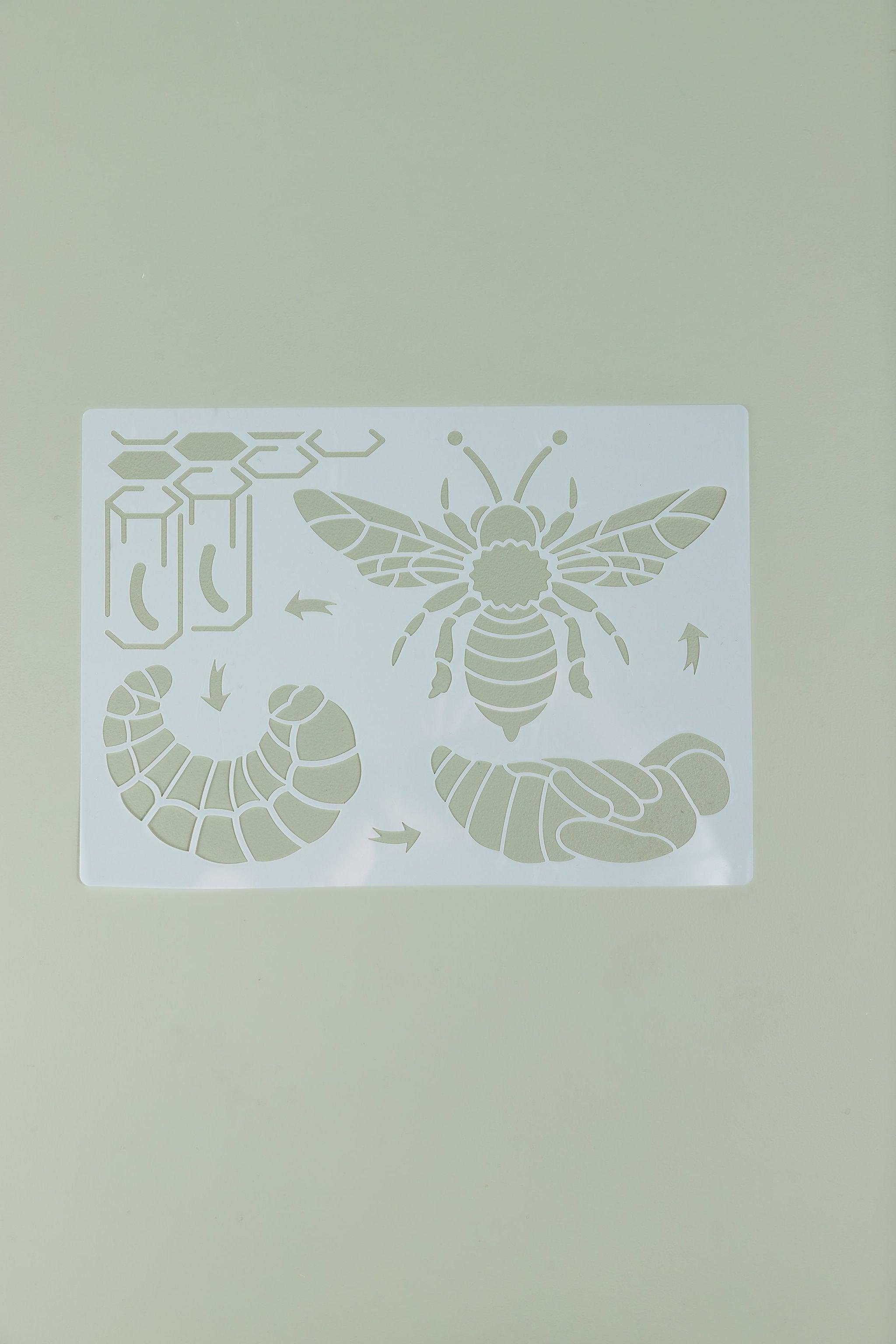 Life Cycle Stencil - Various Designs - tiny tree toys - tiny tree toys