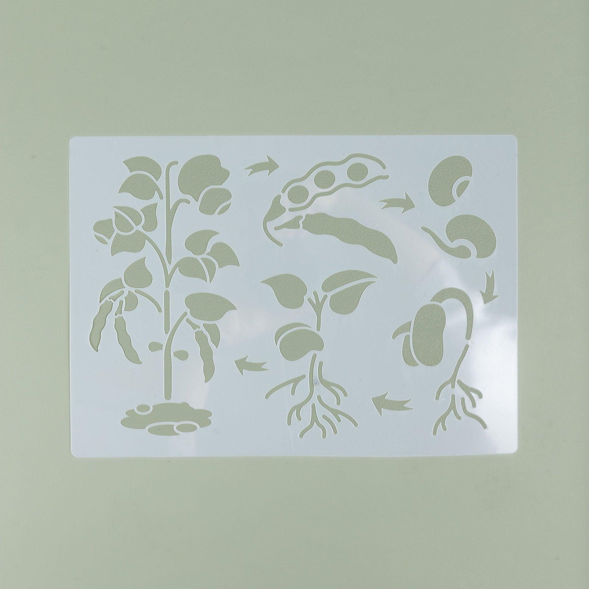 Life Cycle Stencil - Various Designs - tiny tree toys - tiny tree toys
