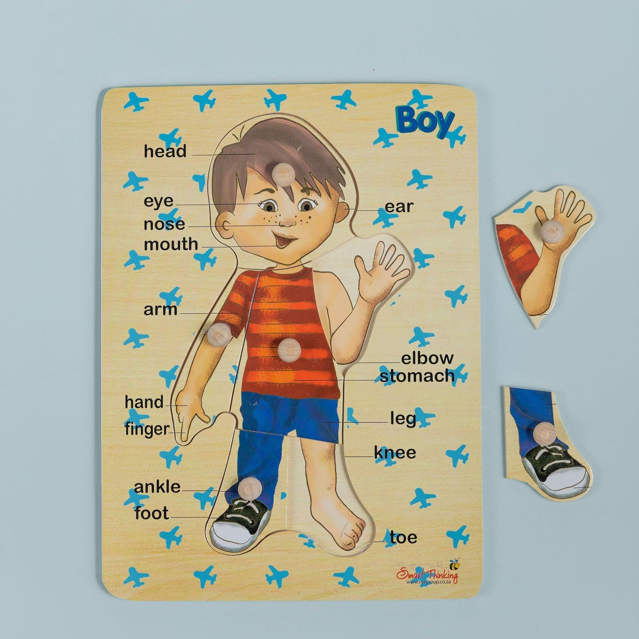 My body puzzle - tiny tree toys - Smart Thinking