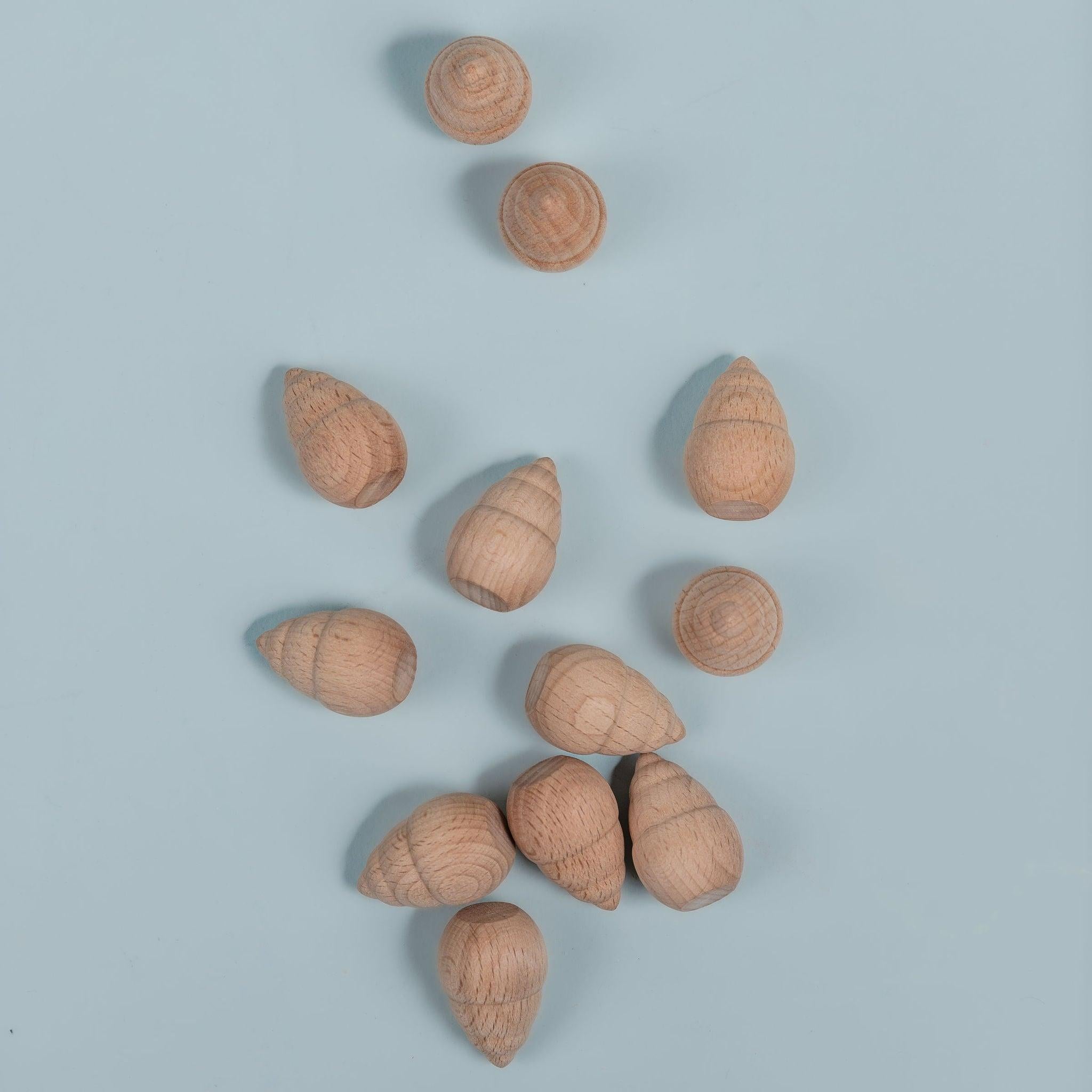 Assorted wooden shapes for sorting and pattern making