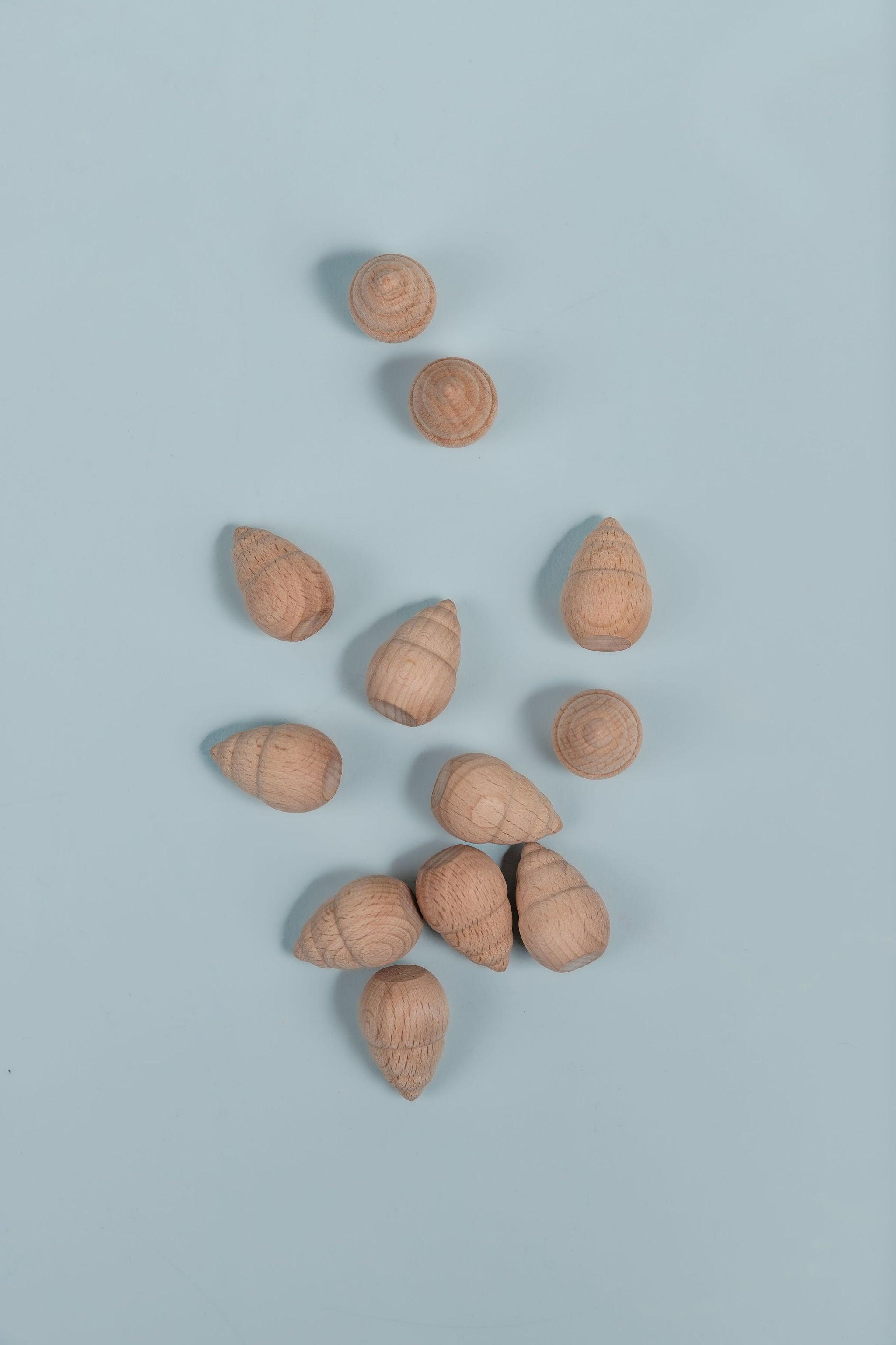 Assorted wooden shapes for sorting and pattern making