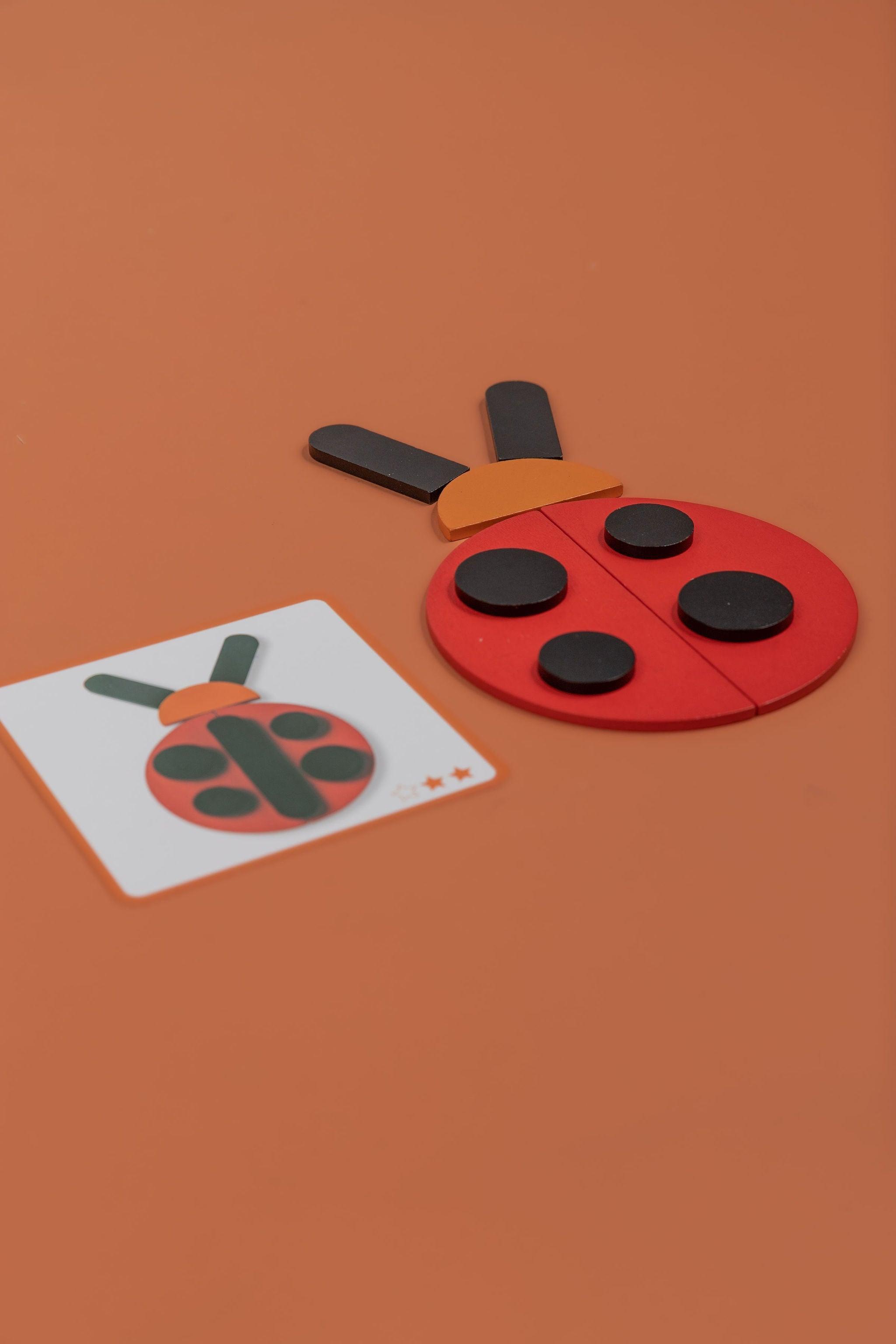 Wooden Shapes & Copy Cards - tiny tree toys - tiny tree toys