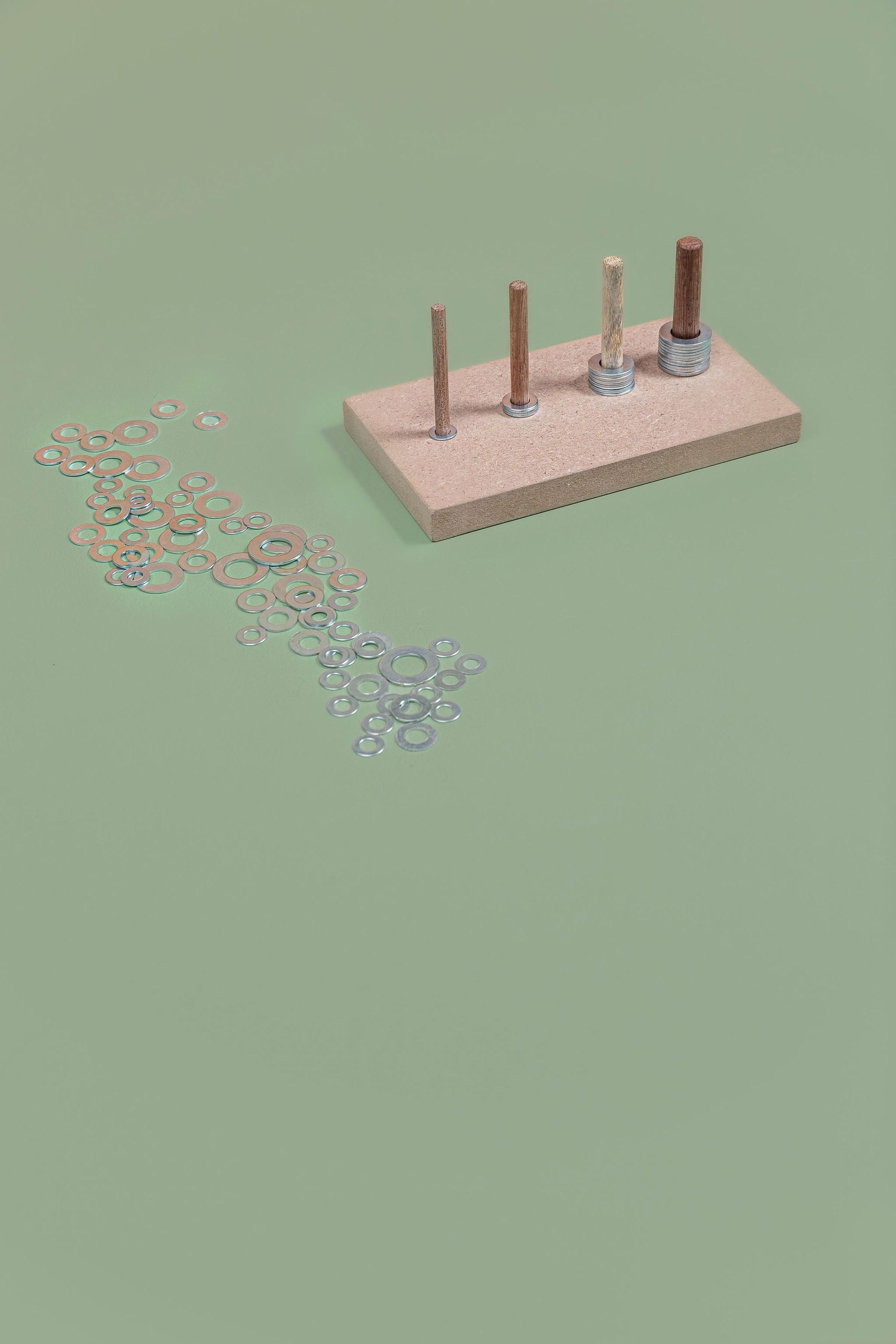 Wooden Washer Sorting - tiny tree toys - tiny tree toys