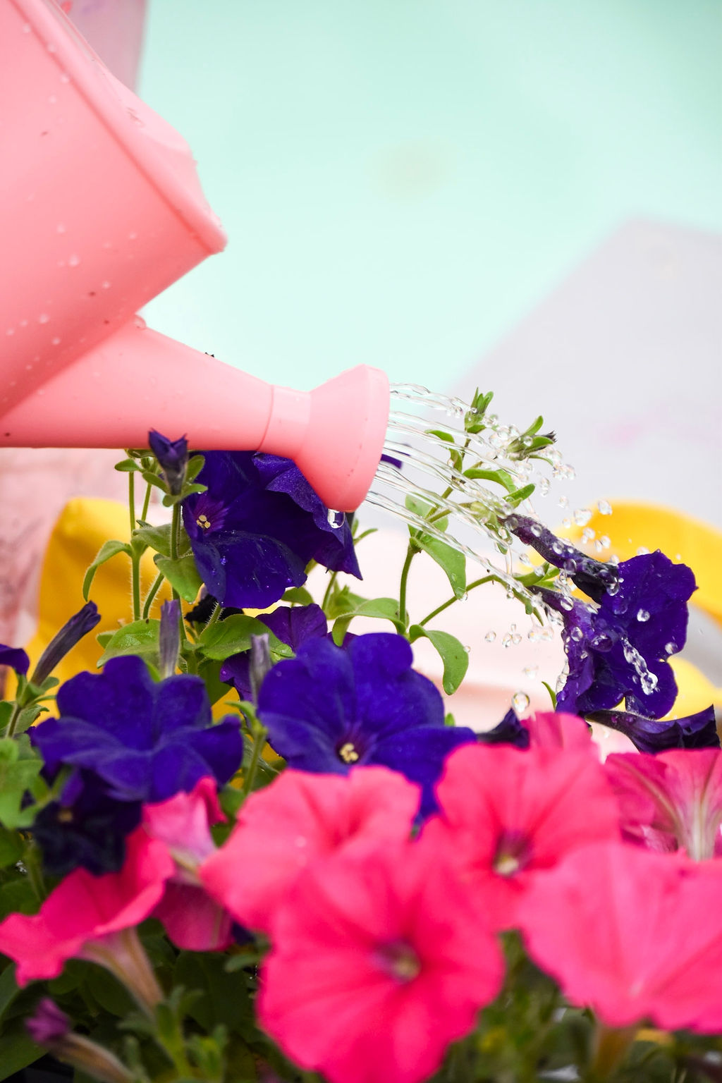 Spring, Heritage Day, and the Games That Grow With Us