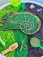 Camouflage sensory set with coloured rice, wooden chameleon tray, insects and magnifying glass for sensory exploration