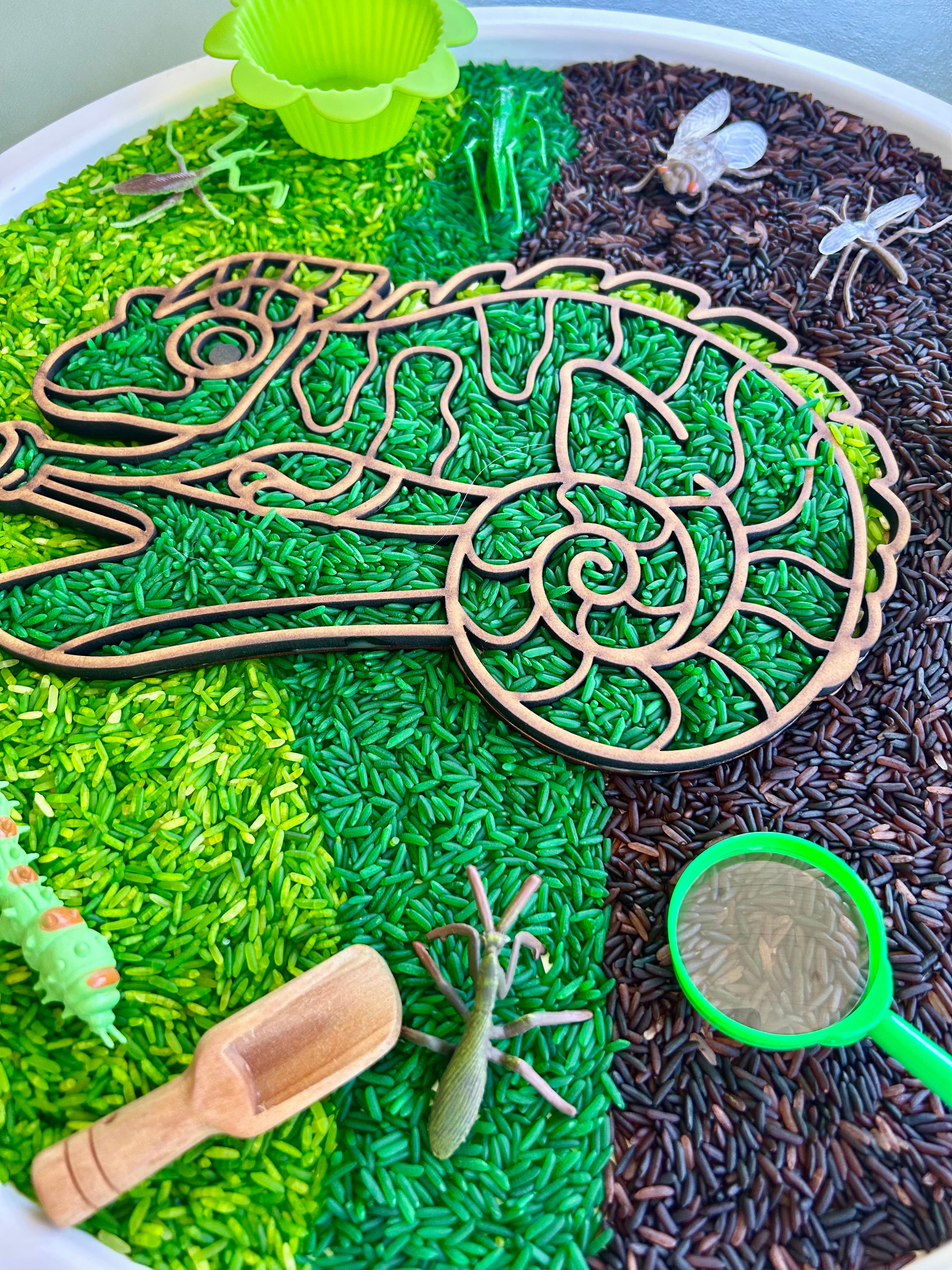 Camouflage sensory set with coloured rice, wooden chameleon tray, insects and magnifying glass for sensory exploration