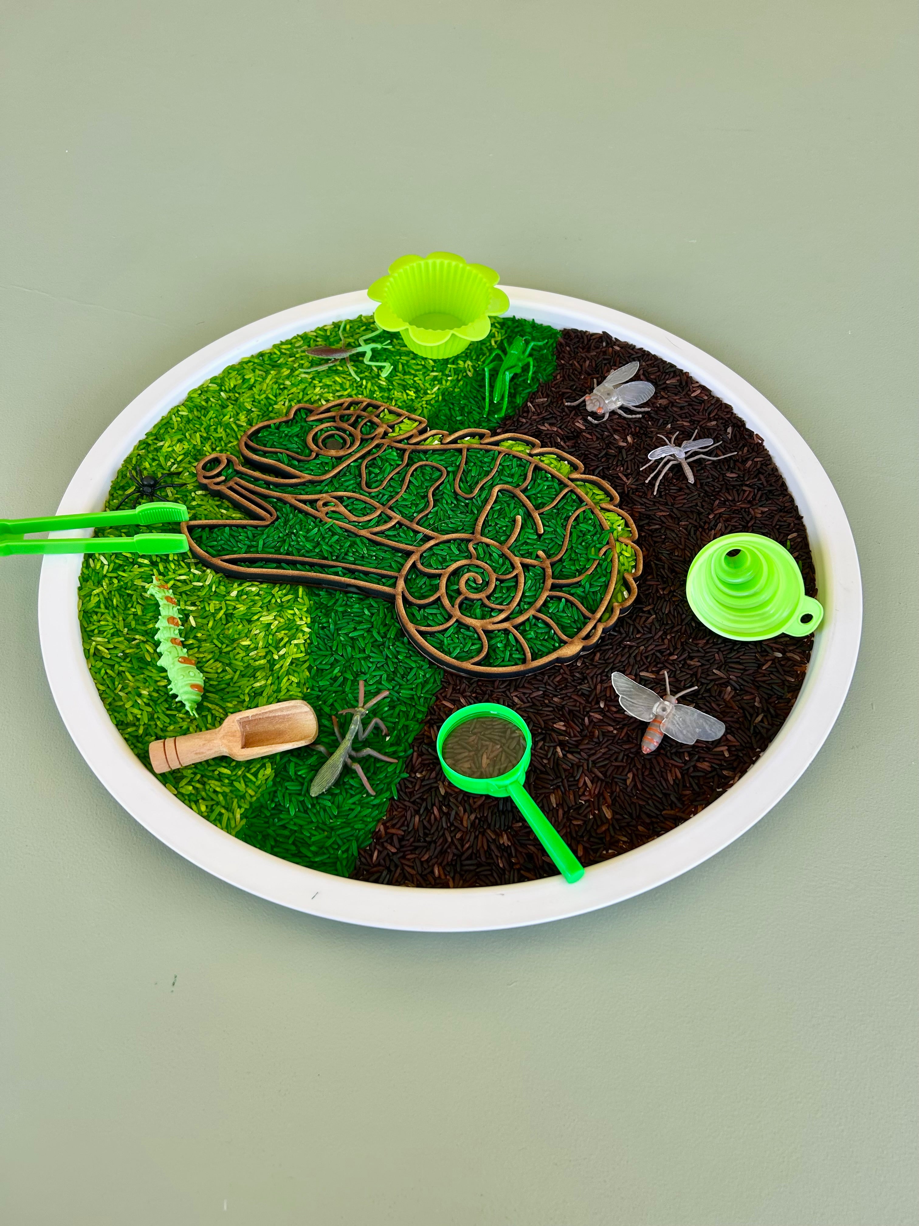 Pour and Play Sensory Set — OT-designed themed sensory play for children 3 years and older. Chameleon Set
