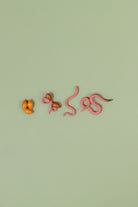 Educational life cycle of the earthworm showing stages of growth 