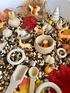 Pour and Play Sensory Set — OT-designed themed sensory play for children 3 years and older. Forest Set 
