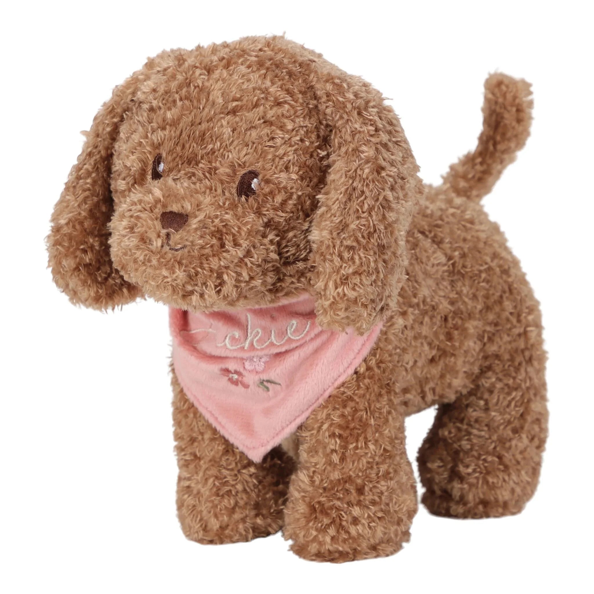 Jackie cuddle dog in carry bag