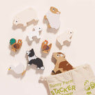 LTV animal balance toy with colourful wooden pieces