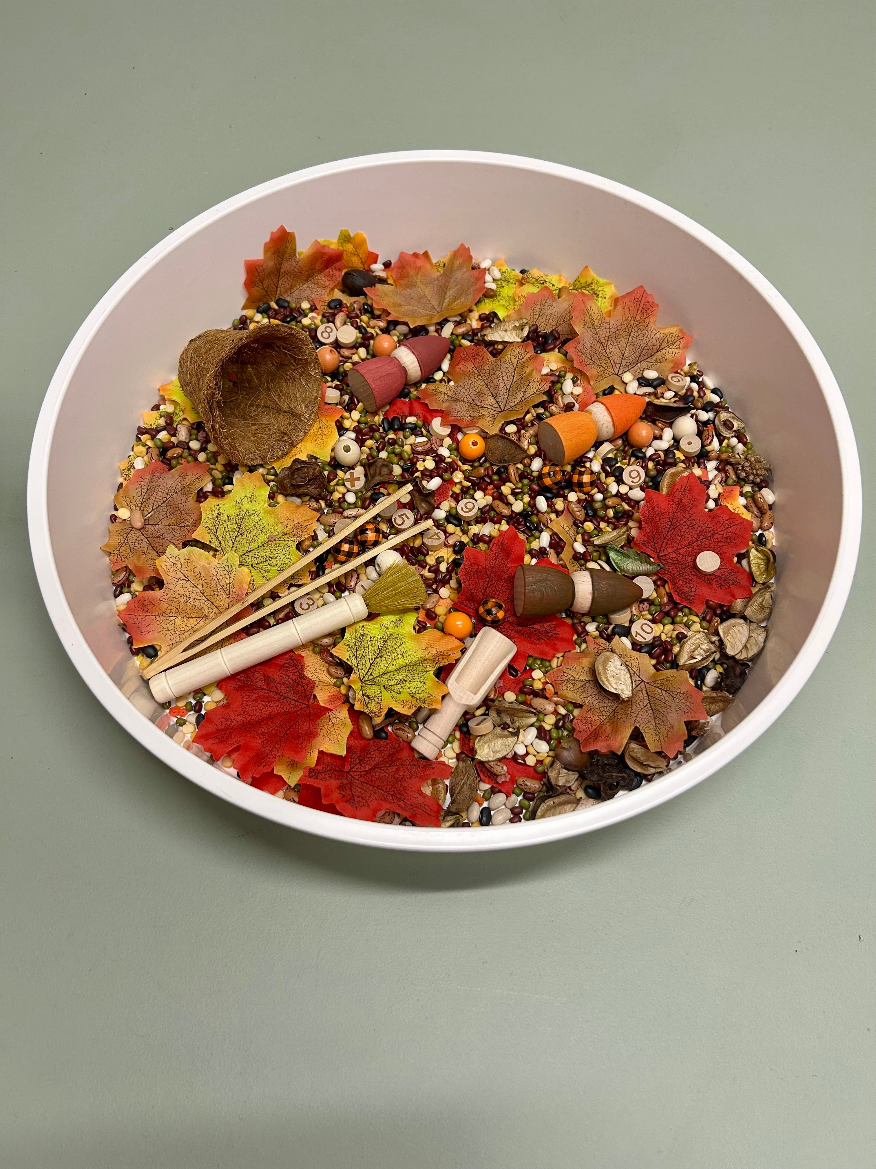 Autumn Forest sensory set with legumes, autumn leaves, peg dolls and wooden tools for imaginative sensory play