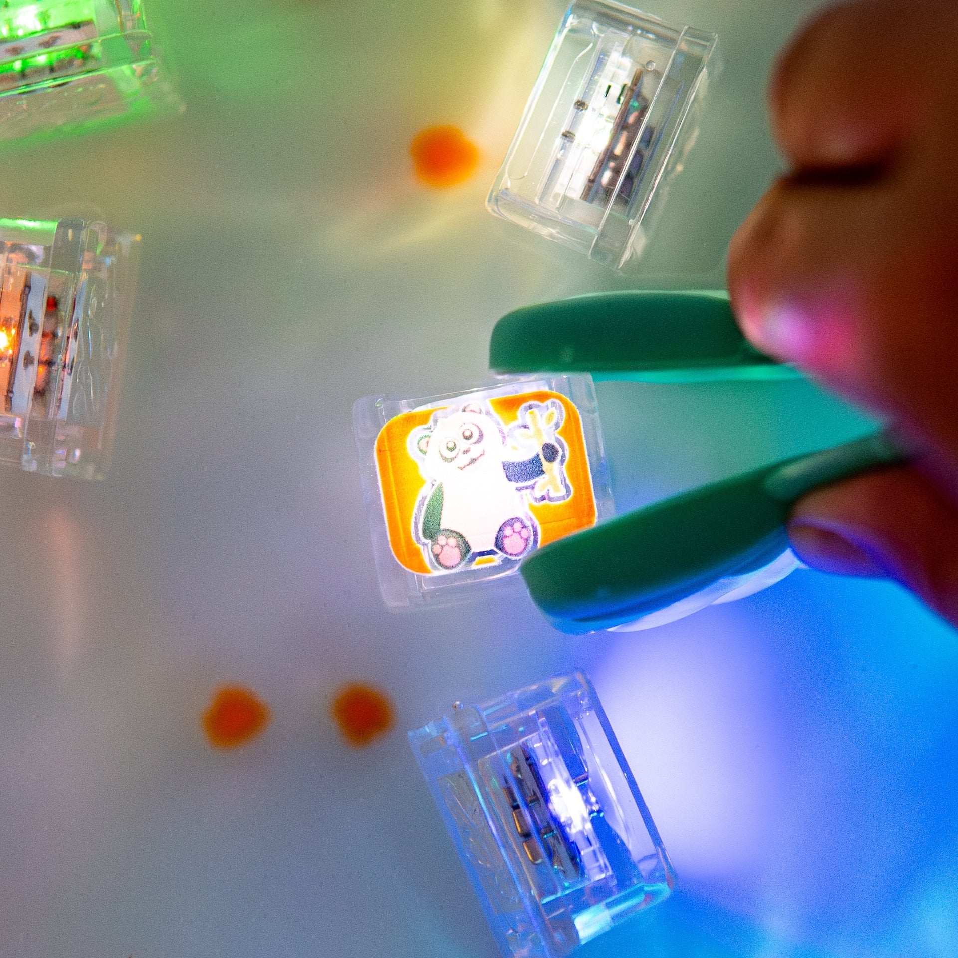 Light-up sensory cubes with animals