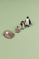 Educational life cycle of the penguin showing stages of growth 