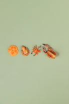 Educational life cycle of the scorpion showing stages of growth 