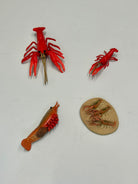 Educational life cycle of the shrimp showing stages of growth 