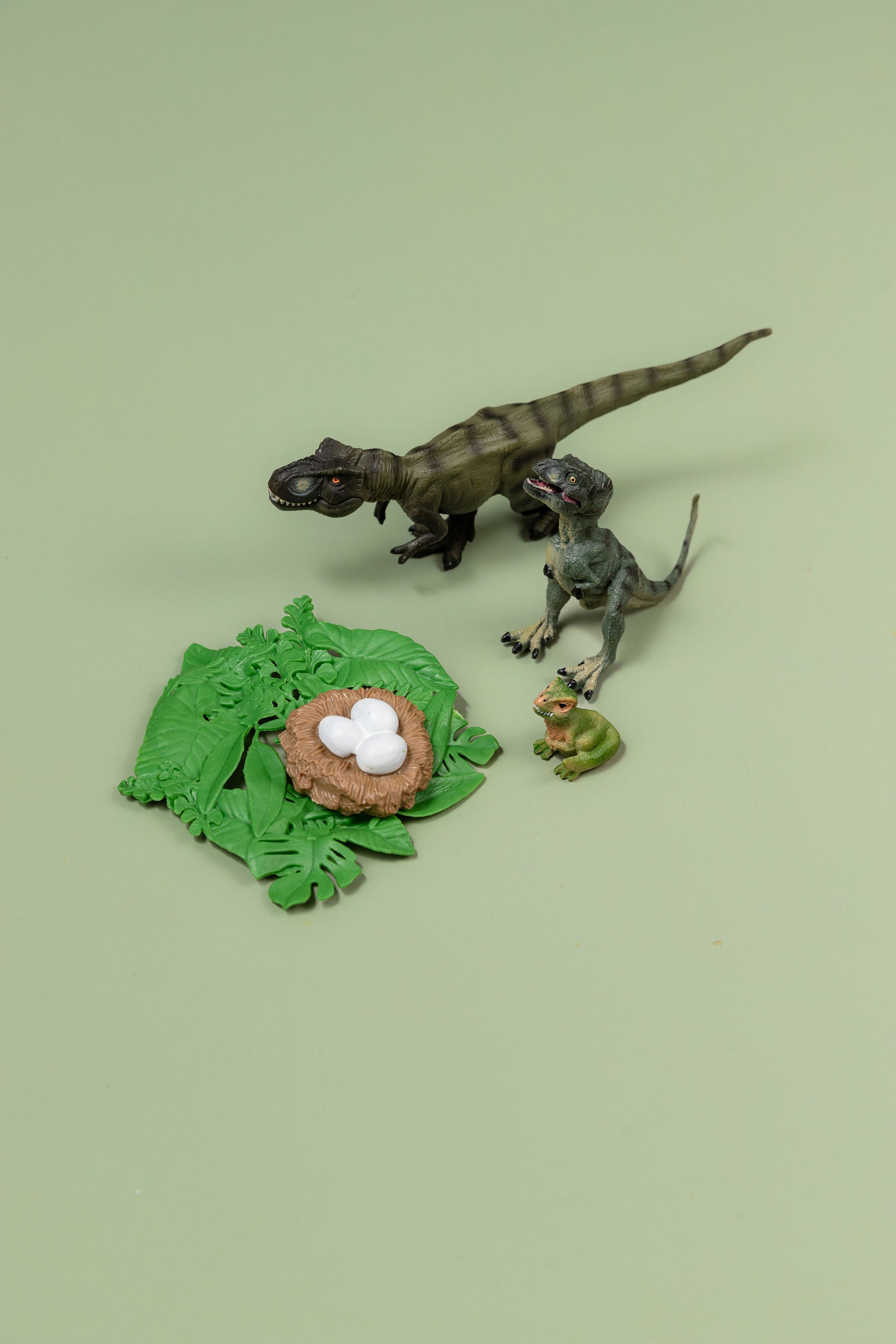 Educational life cycle of the Tyrannosaurus showing stages of growth 