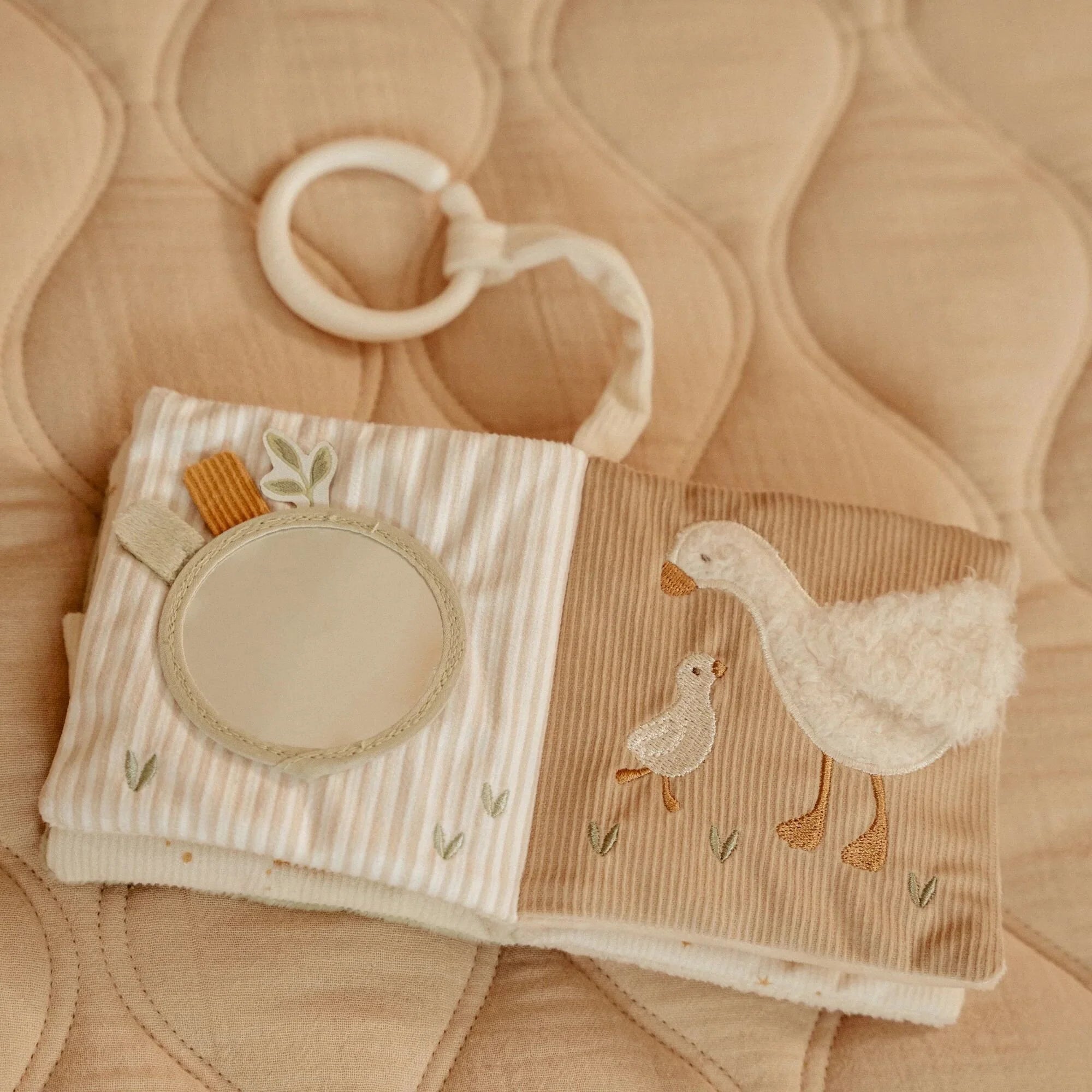 Buggy booklet with mirror and tactile features