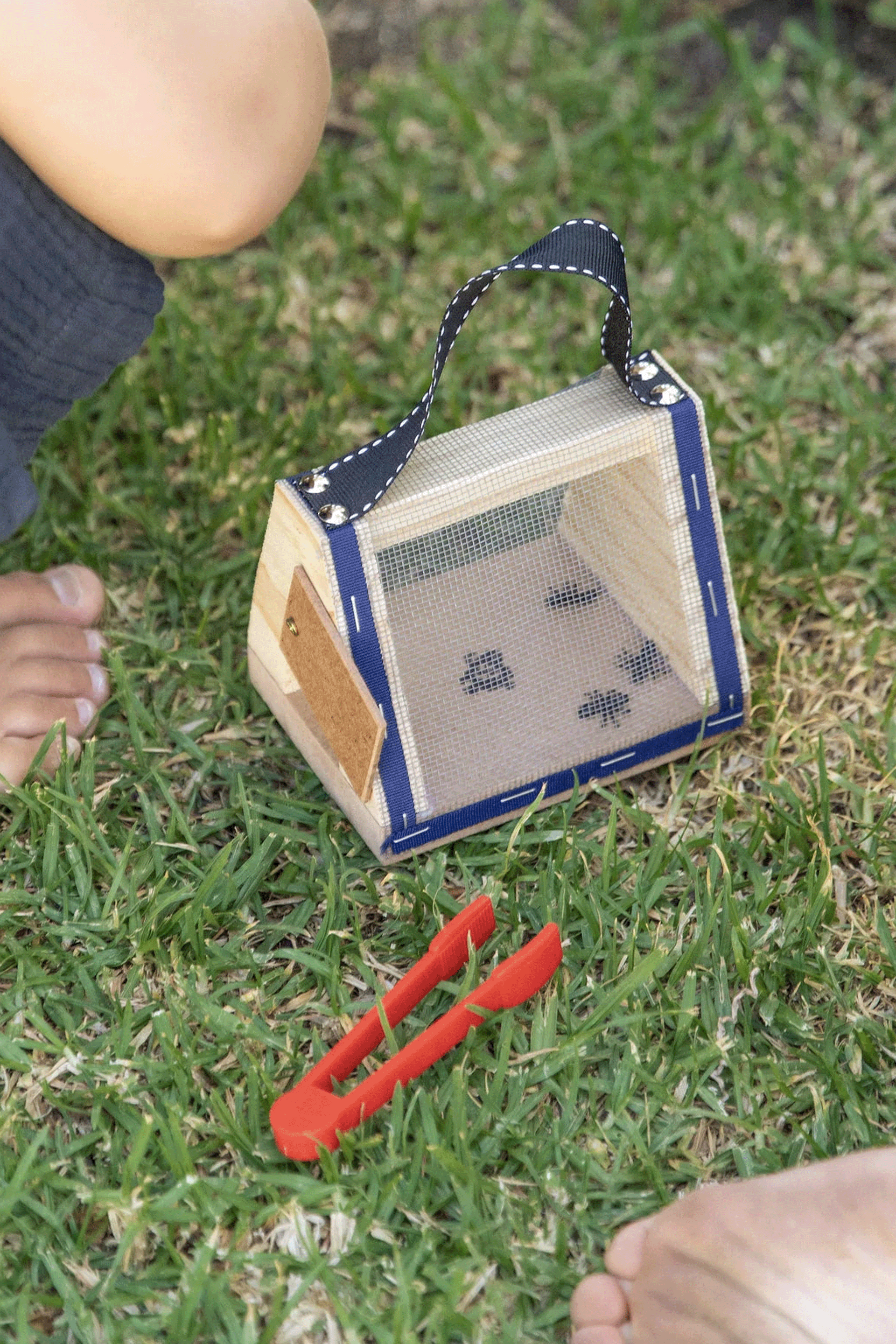 Wooden gogga box with clear lid, tweezers and 8 plastic bugs - outdoor nature exploration toy for children - Tiny Tree Toys South Africa