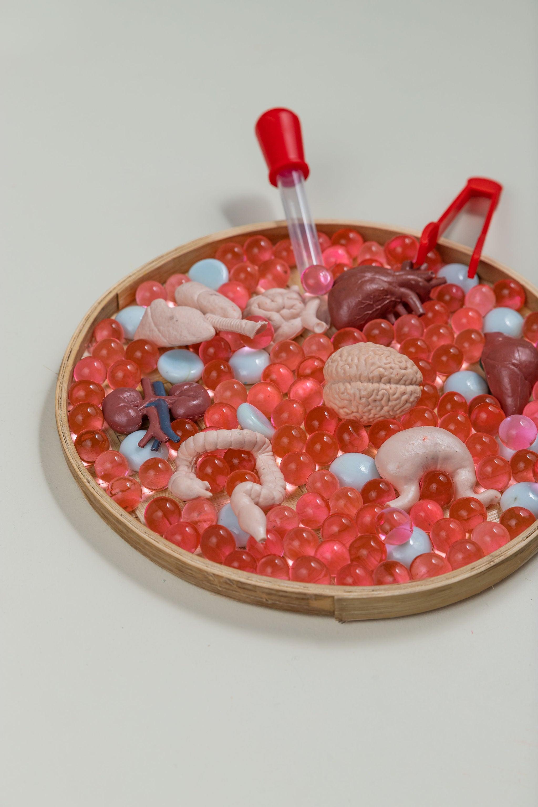 Sensory Sets - tiny tree toys
