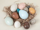 Natural Wooden Eggs Set - tiny tree toys