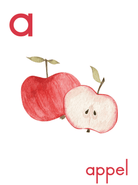 Alfabet Kaarte - tiny tree toys - tiny tree toys