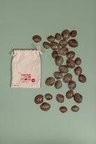 Edx Eco Friendly Tactile Shells - tiny tree toys - Edx education