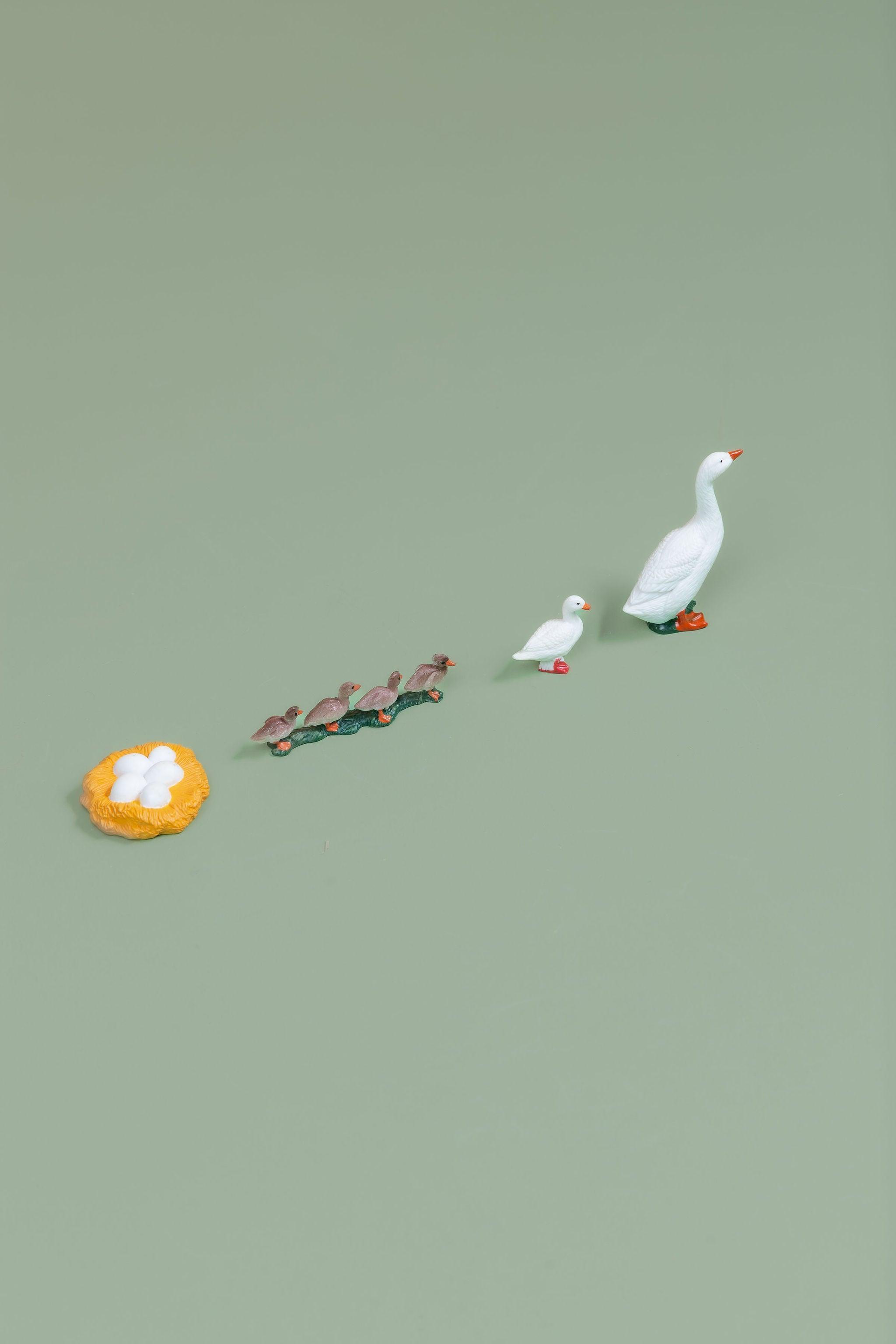 Life Cycles - Various Designs - tiny tree toys - tiny tree toys