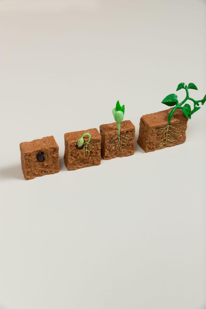 Life Cycles - Various Designs - tiny tree toys - tiny tree toys