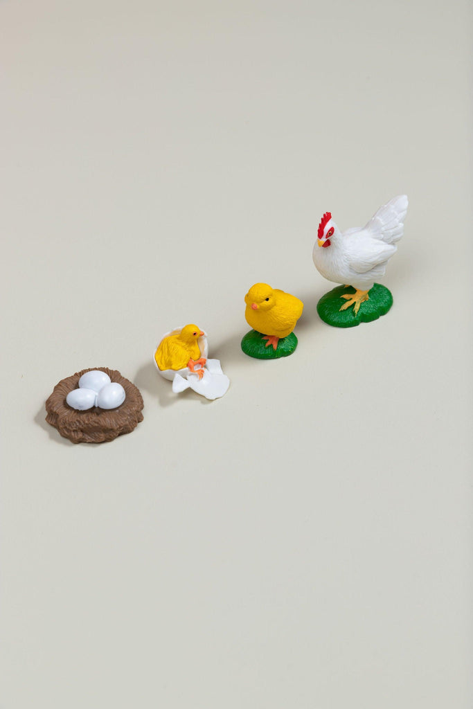 Life Cycles - Various Designs - tiny tree toys - tiny tree toys