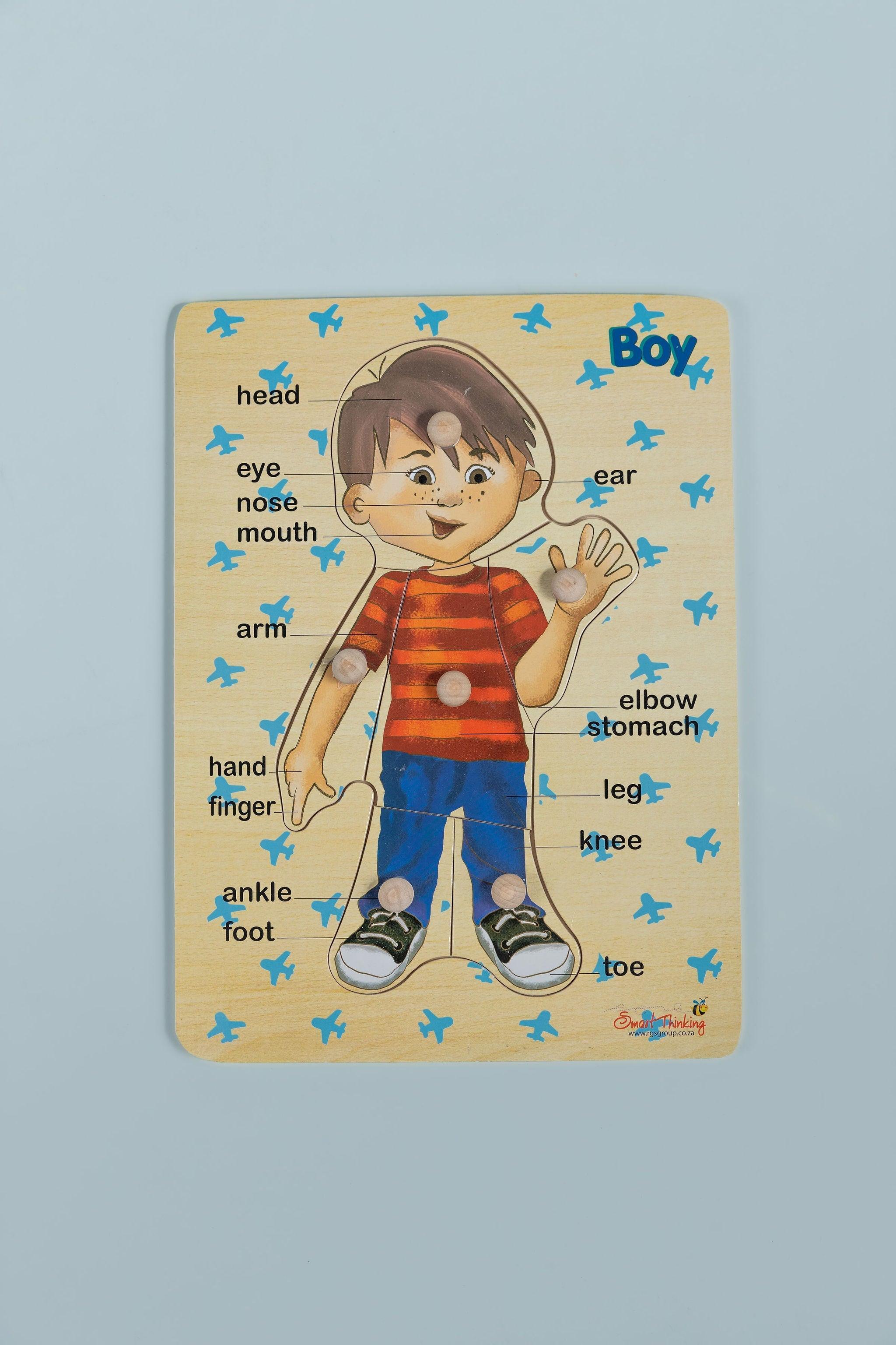 My body puzzle - tiny tree toys - Smart Thinking