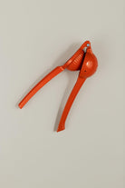 Play Dough Squeeze - tiny tree toys - tiny tree toys